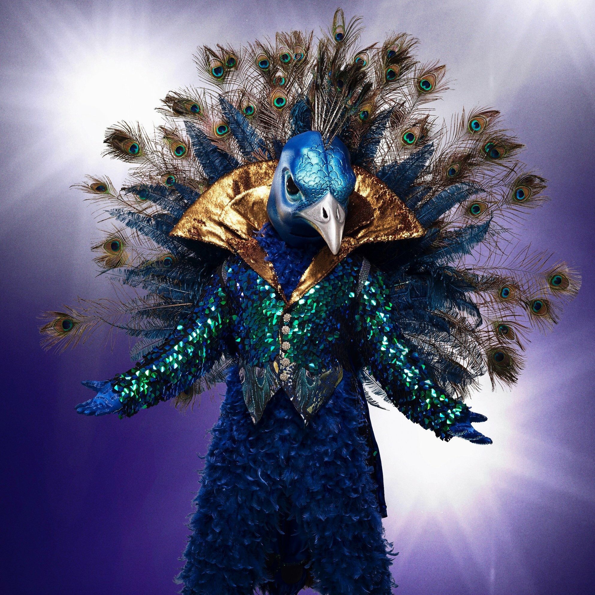 The Masked Singer, Singer ideas, Creative costumes, Joey Fatone, 1990x1990 HD Phone