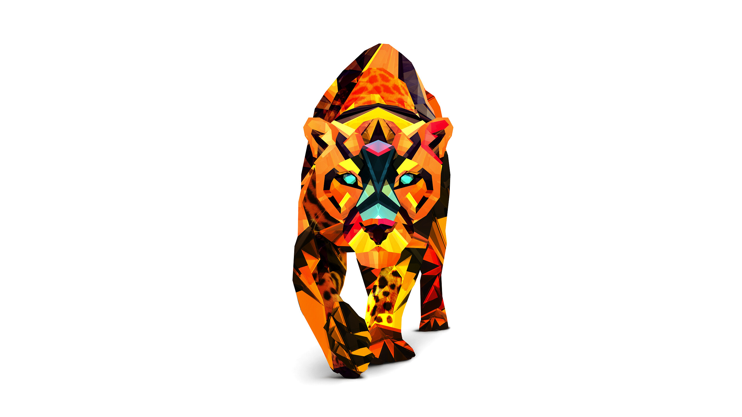 Geometric Animal: Art design that comes in various types, sizes, and shapes, Wild cat. 2560x1440 HD Background.
