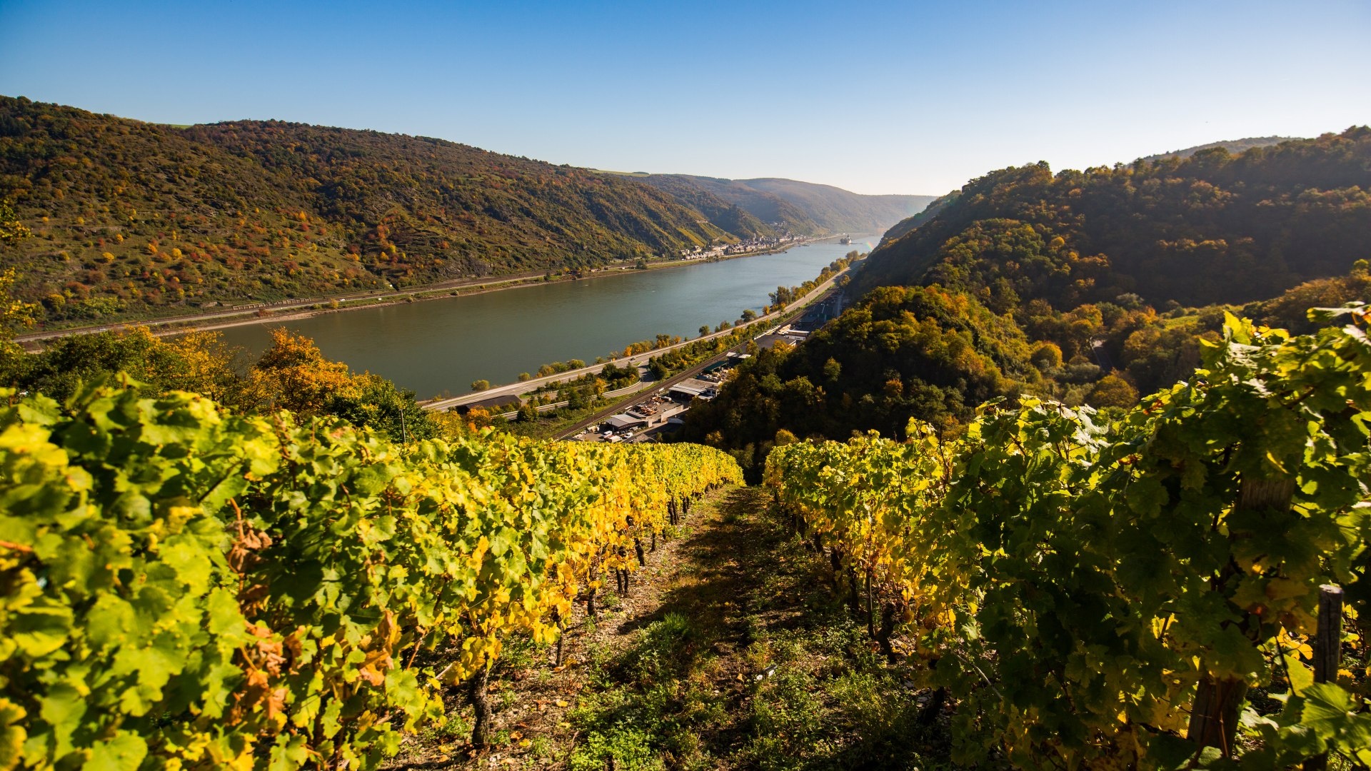 Rhine River, Wine region Mittelrhein, Cultural heritage, Viticultural excellence, 1920x1080 Full HD Desktop