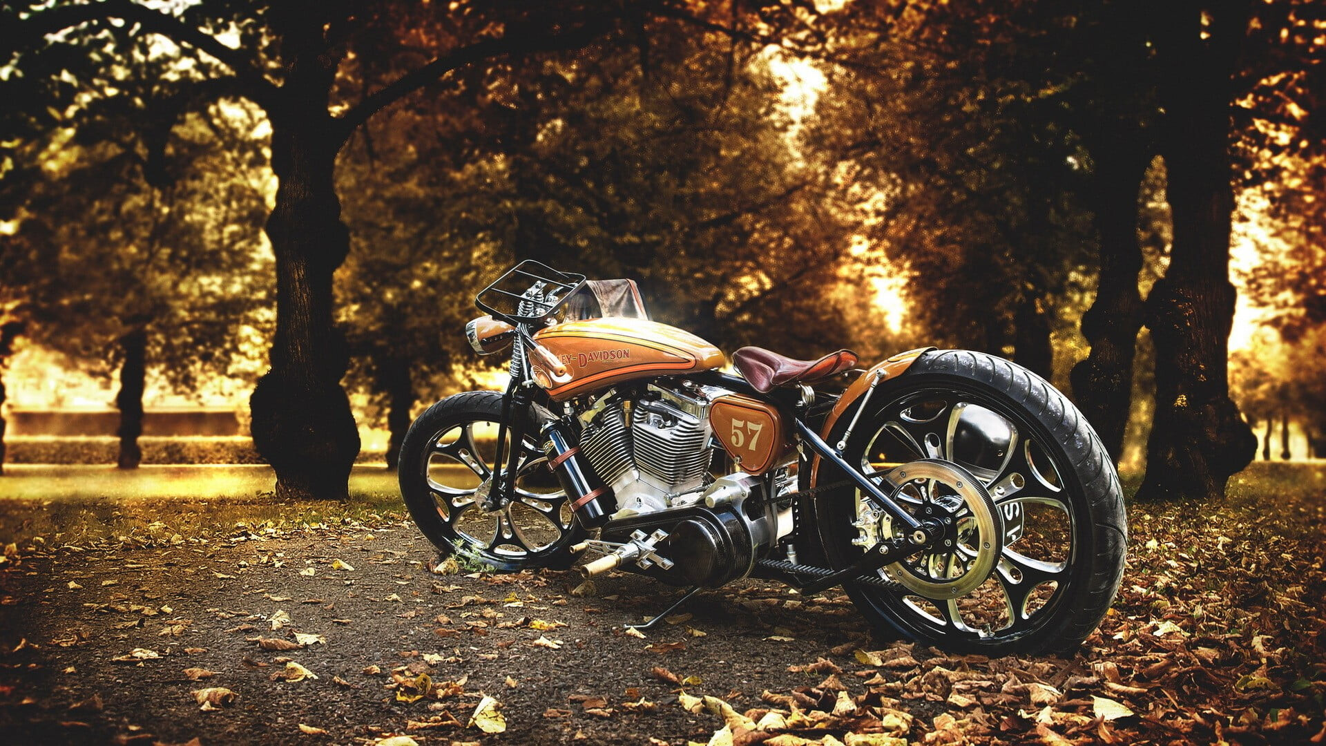 Harley-Davidson: The FXR models were replaced with the Dyna (FXD) in 1993, Bobber motorcycle. 1920x1080 Full HD Background.