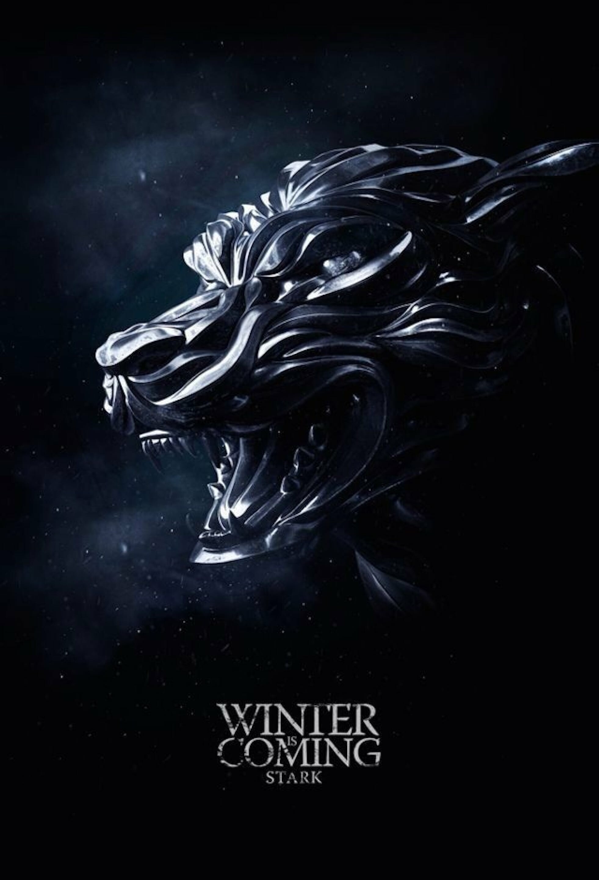 Game of Thrones: Winter is coming, House of Stark, HBO series. 1970x2880 HD Wallpaper.
