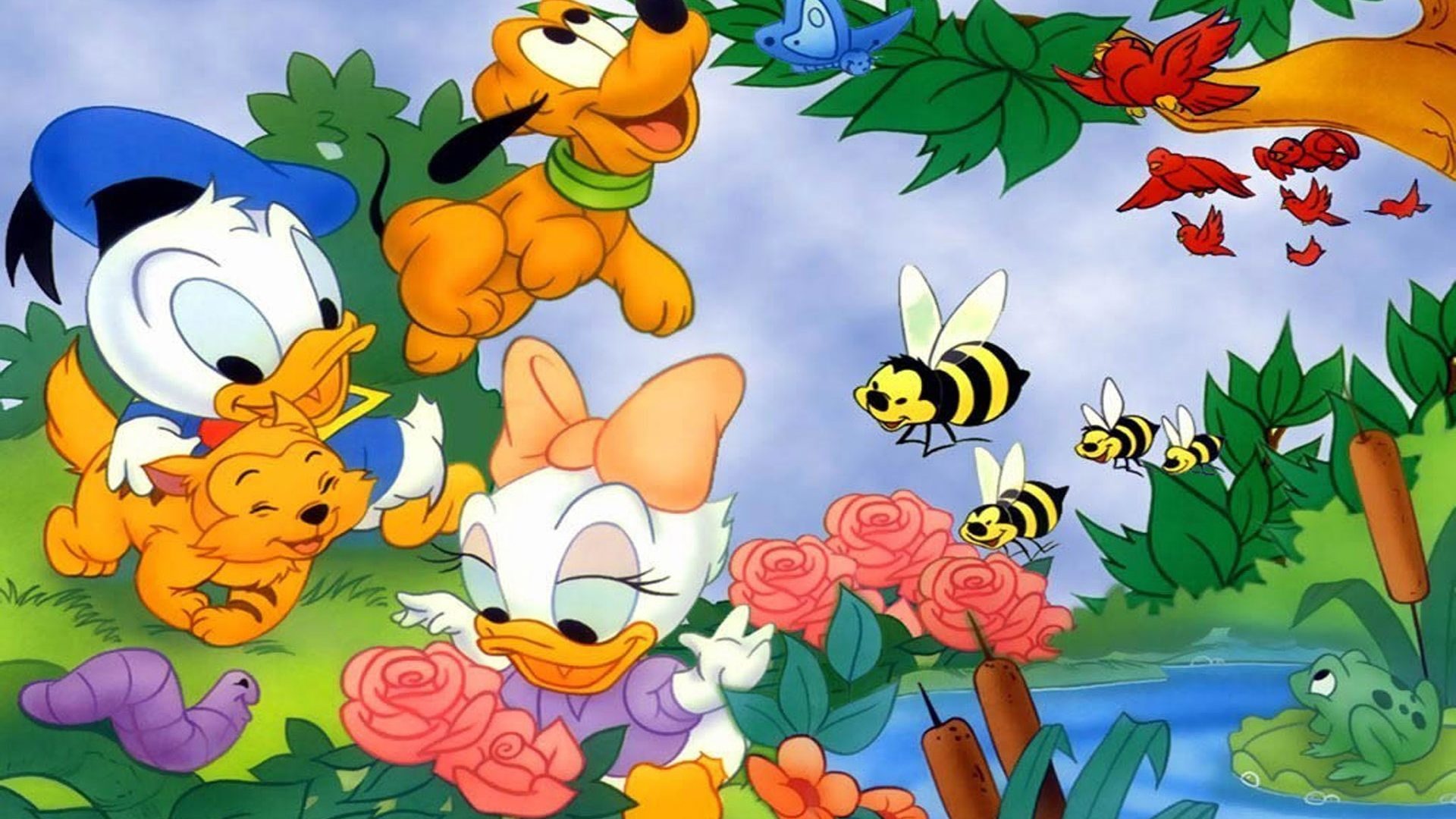 Donald Duck: Disney's characters, Daisy, Cartoon. 1920x1080 Full HD Background.