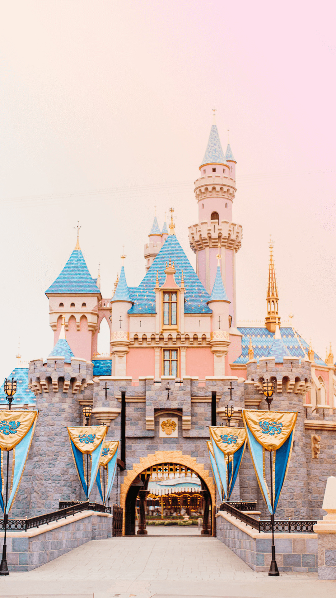 Walt Disney World Resort, Dreamy wallpapers, Phone backgrounds, Disney enchantment, 1080x1920 Full HD Phone