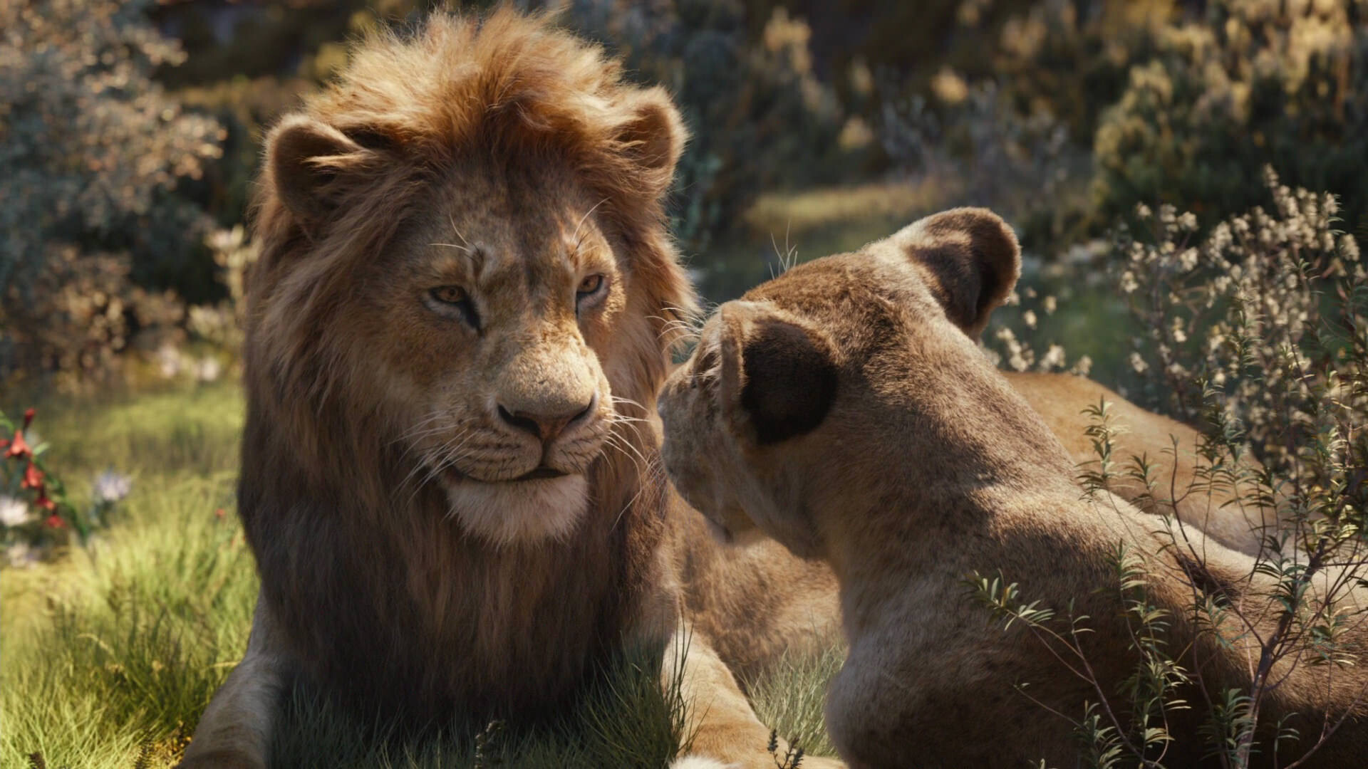 The Lion King movie, Impressive lighting, Visual effects, Stunning cinematography, 1920x1080 Full HD Desktop