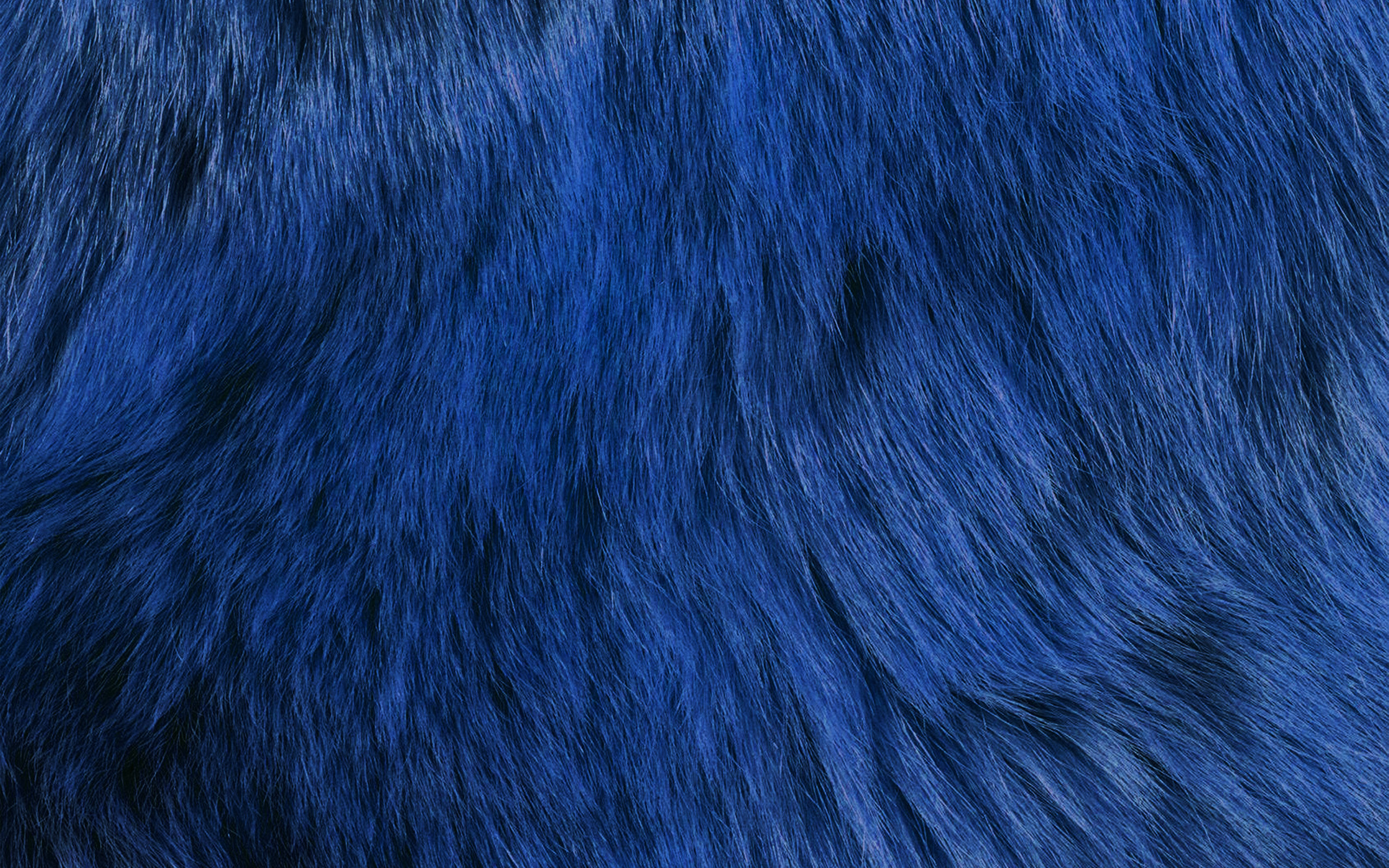 Blue fur pattern, Dark wallpaper, Textured design, Unique texture, 2560x1600 HD Desktop