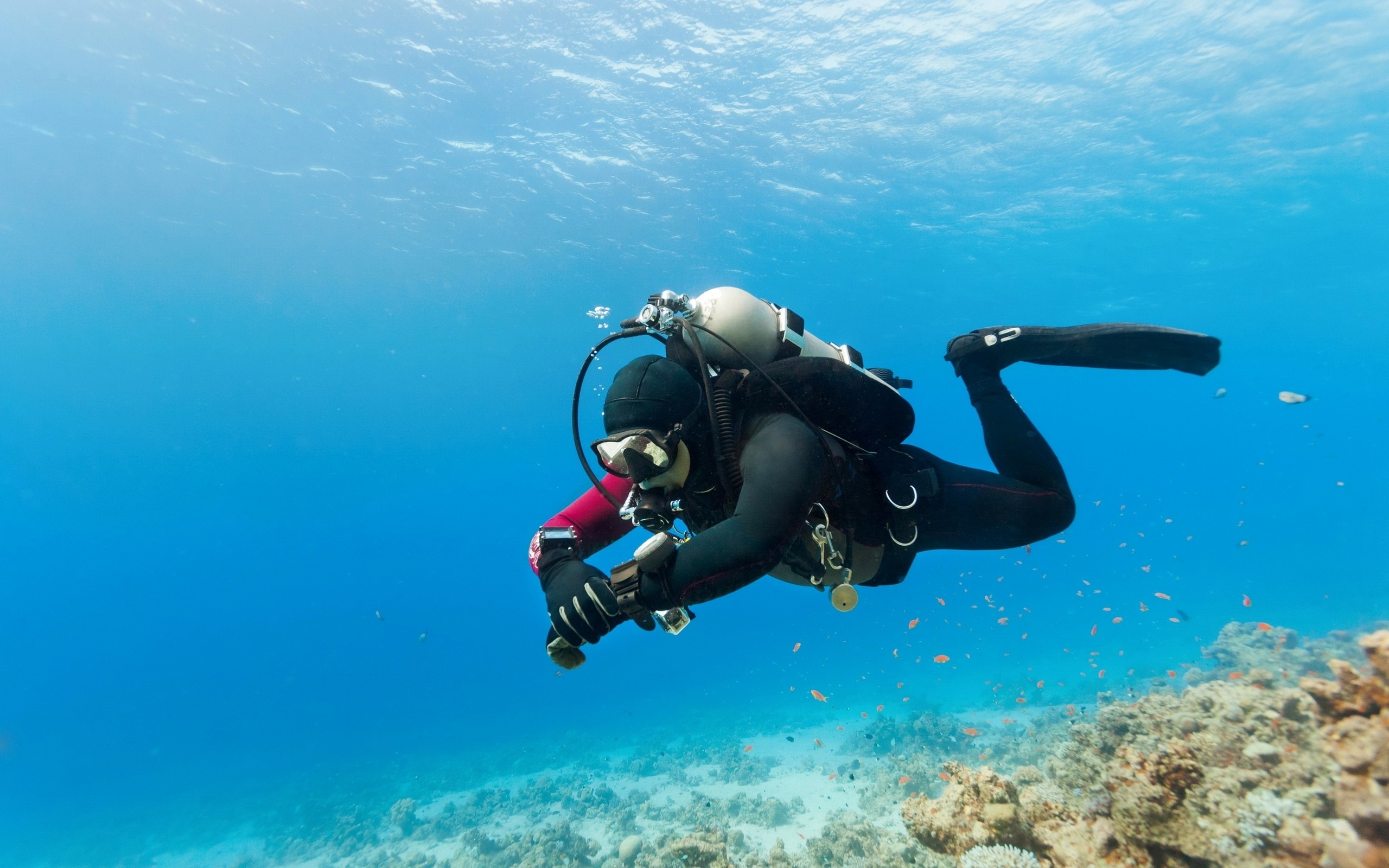 Diving: Diver checks the oxygen level while swimming near the sea bottom. 2560x1600 HD Wallpaper.