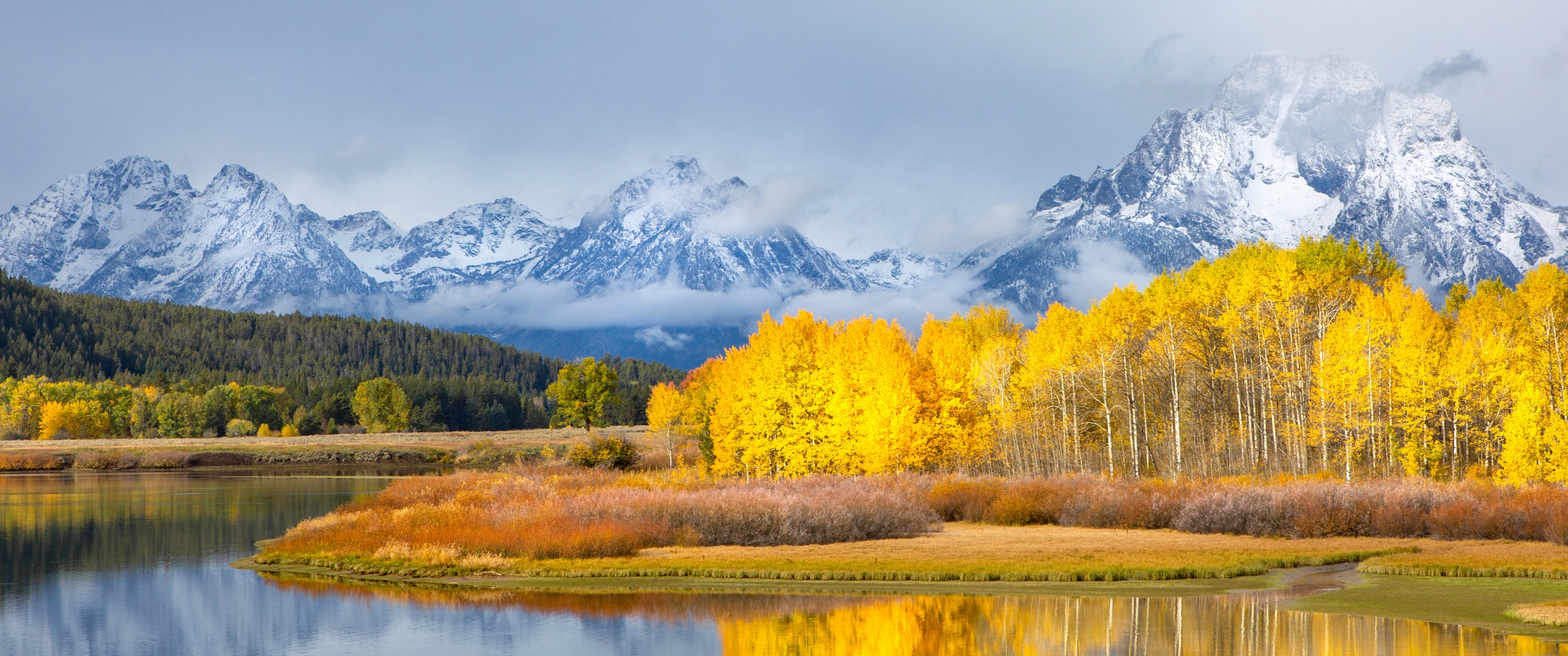 Aspen Tree, Winter wonderland, Lakeside beauty, Cold season charm, 3440x1440 Dual Screen Desktop