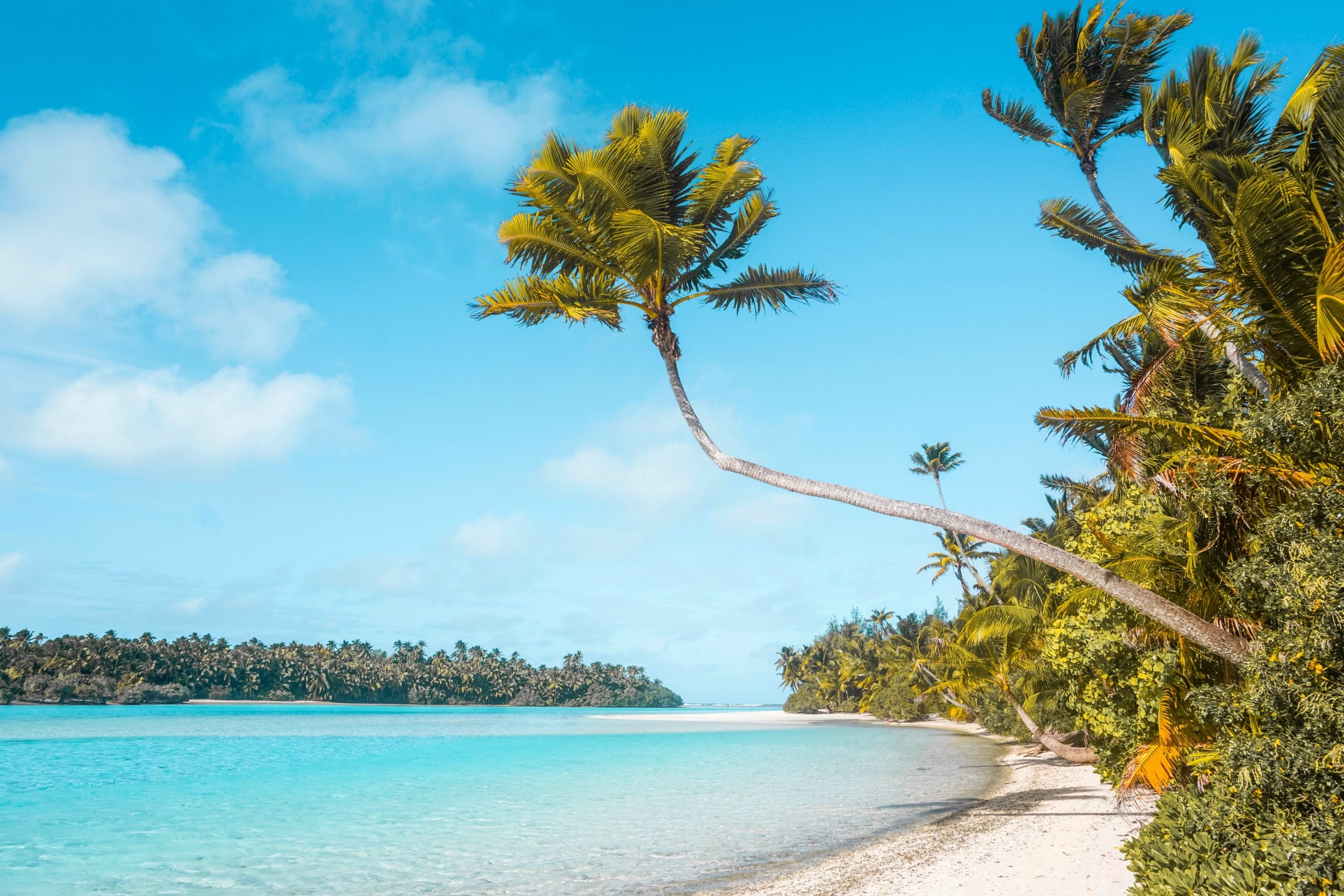 Cook Islands, Plantiful travels, Exotic flora, Tropical paradise, 2560x1710 HD Desktop