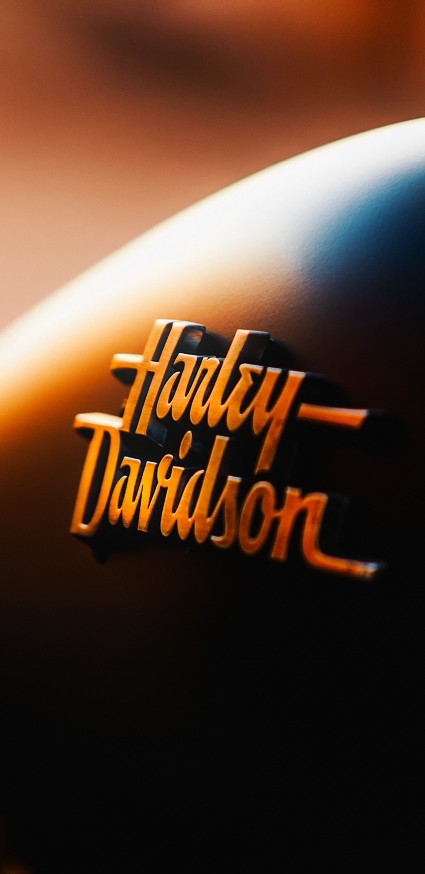Volume Logo, Harley-Davidson Logo Wallpaper, 1440x2960 HD Handy