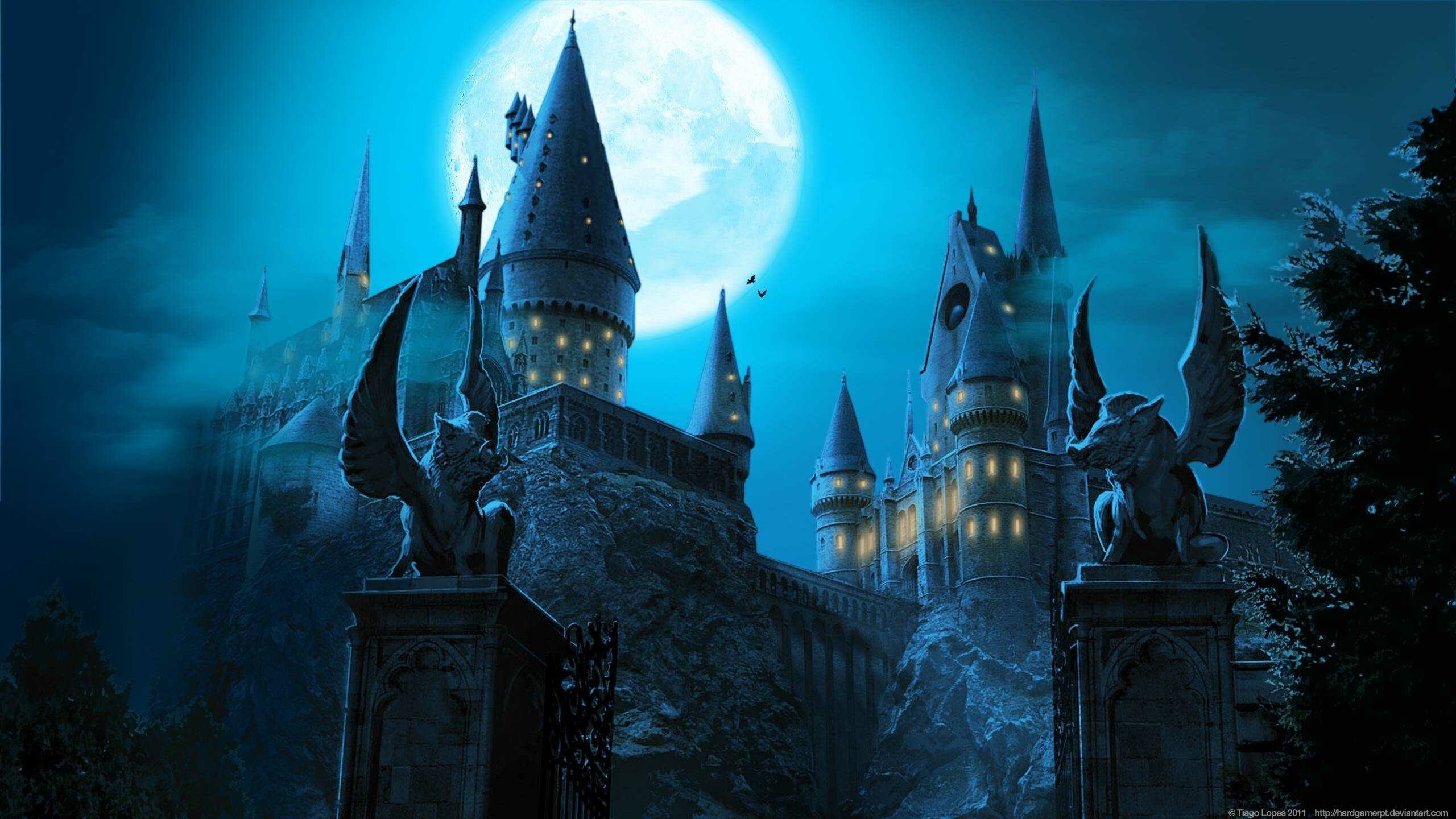 Harry Potter: Hogwarts, Divided into four houses, each bearing the last name of its founder. 2560x1440 HD Background.