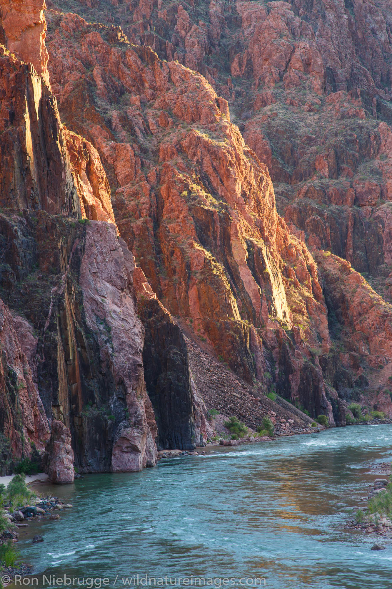 Colorado River, Grand Canyon, Arizona photos, Ron Niebrugge, 1340x2000 HD Handy