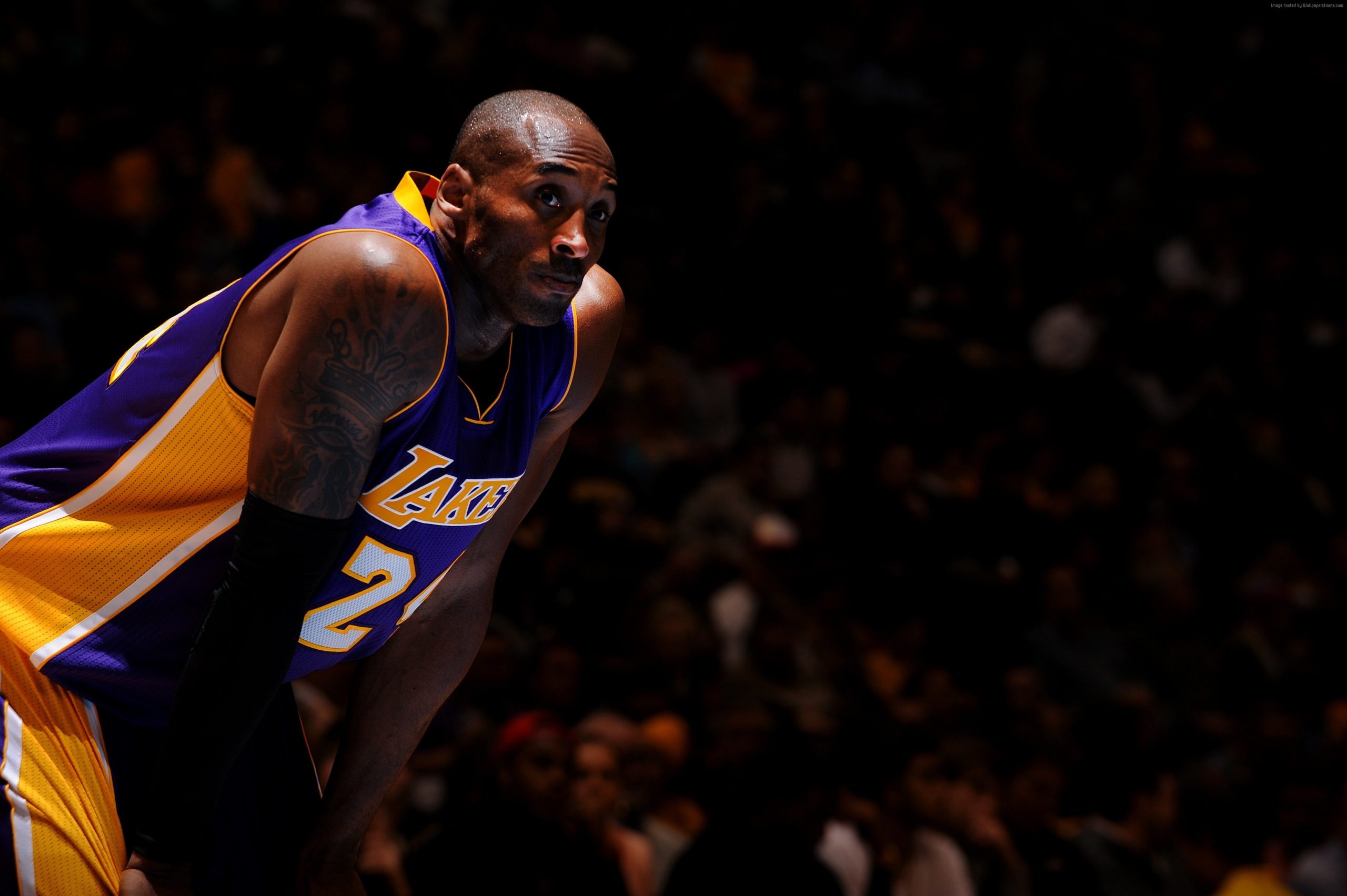 Los Angeles Lakers: Kobe Bryant, Shooting Guard, Basketball, Black Mamba. 2560x1710 HD Wallpaper.