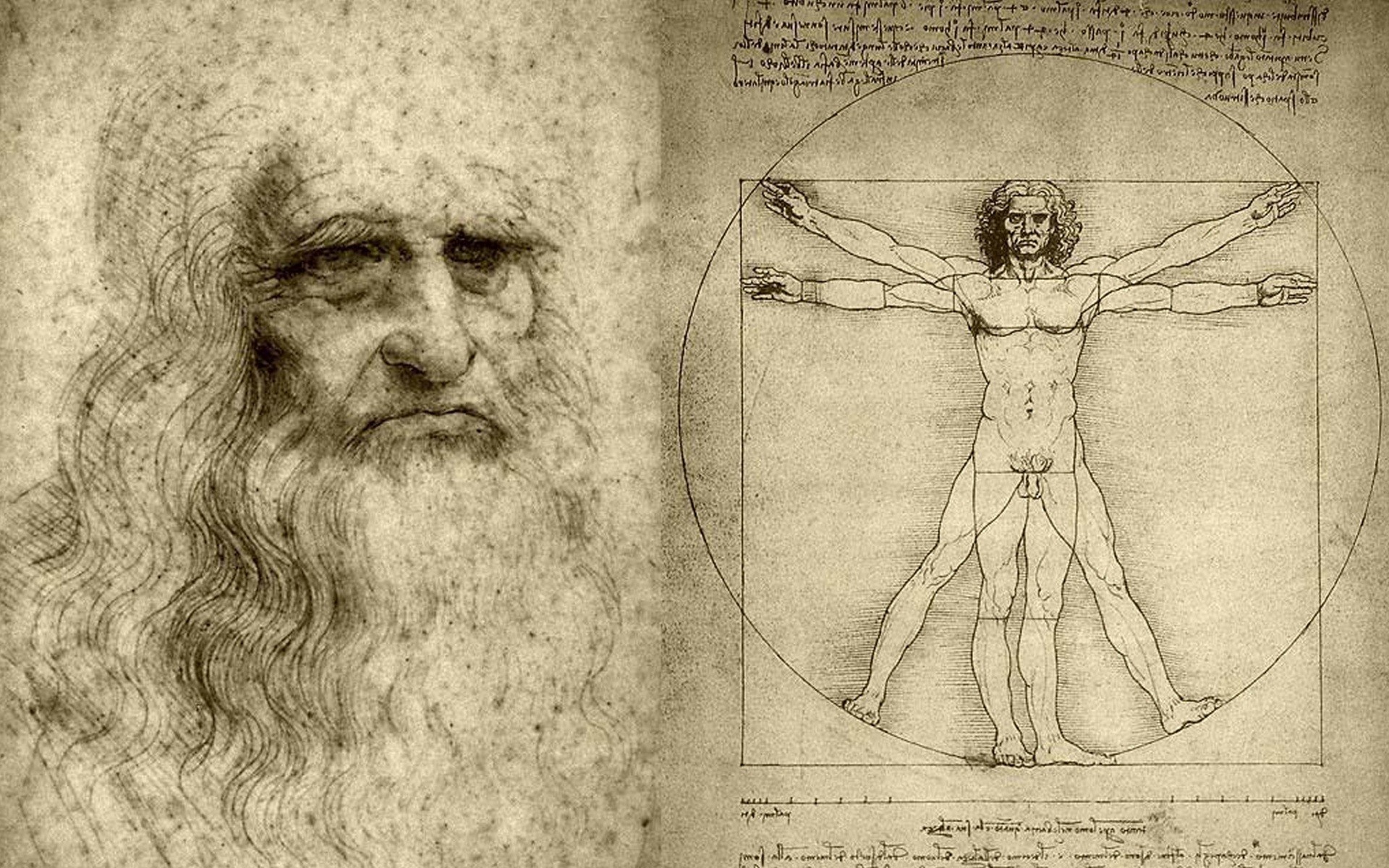 Leonardo da Vinci, Celebs, Vitruvian Man, Proportional beauty, 1920x1200 HD Desktop
