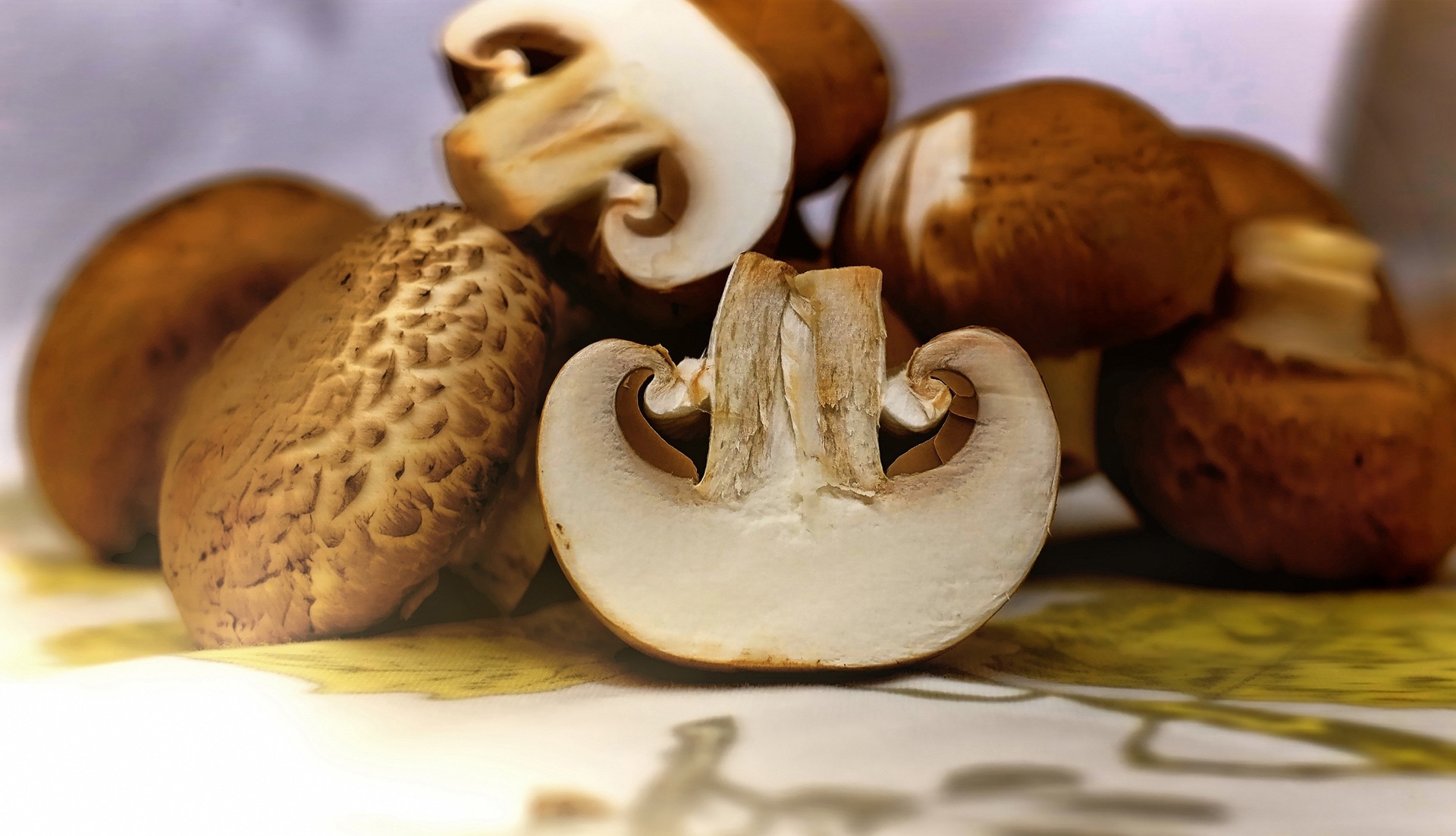 Mushroom images, Royalty-free, Array of mushrooms, Nature photography, 1920x1110 HD Desktop