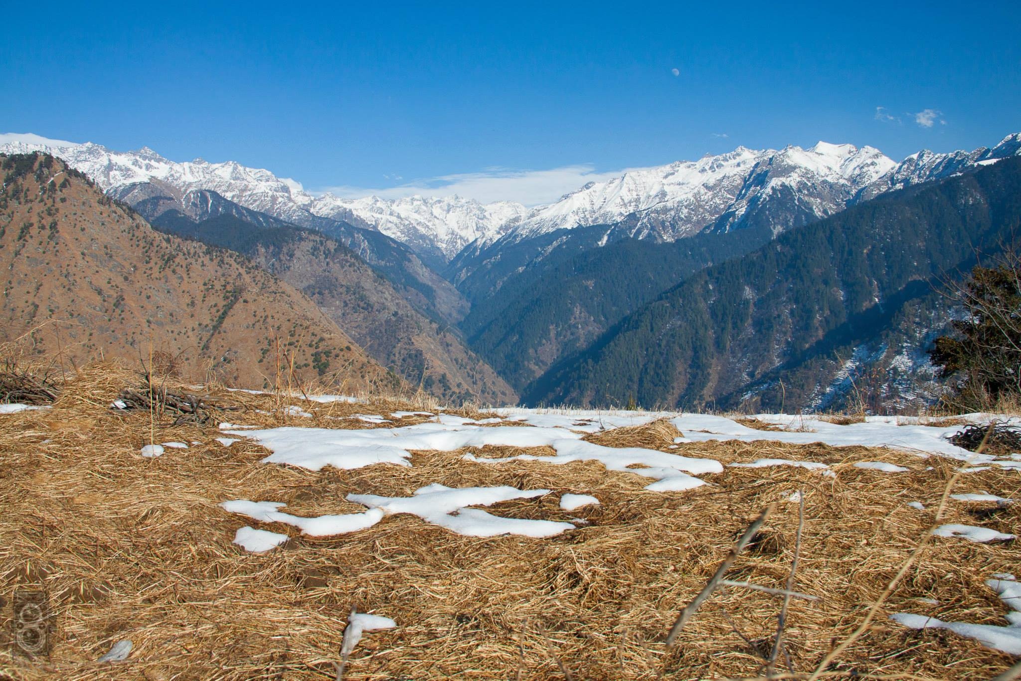 Great Himalayan National Park, Western tragopan, Ok travel, Travels, 2050x1370 HD Desktop