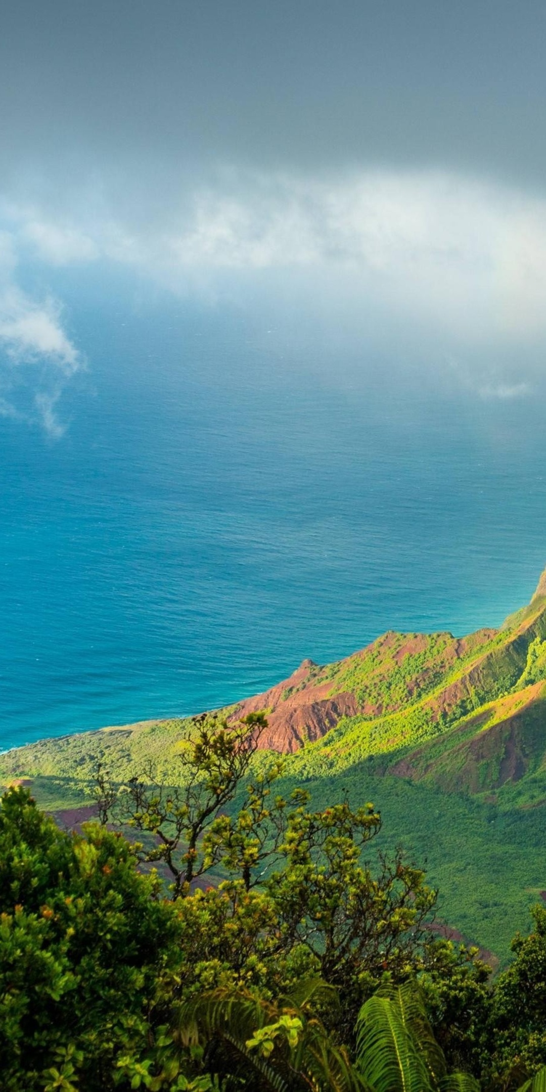 Hawaii's beauty, Pacific dreams, Aerial serenity, Captivating nature, 1080x2160 HD Phone