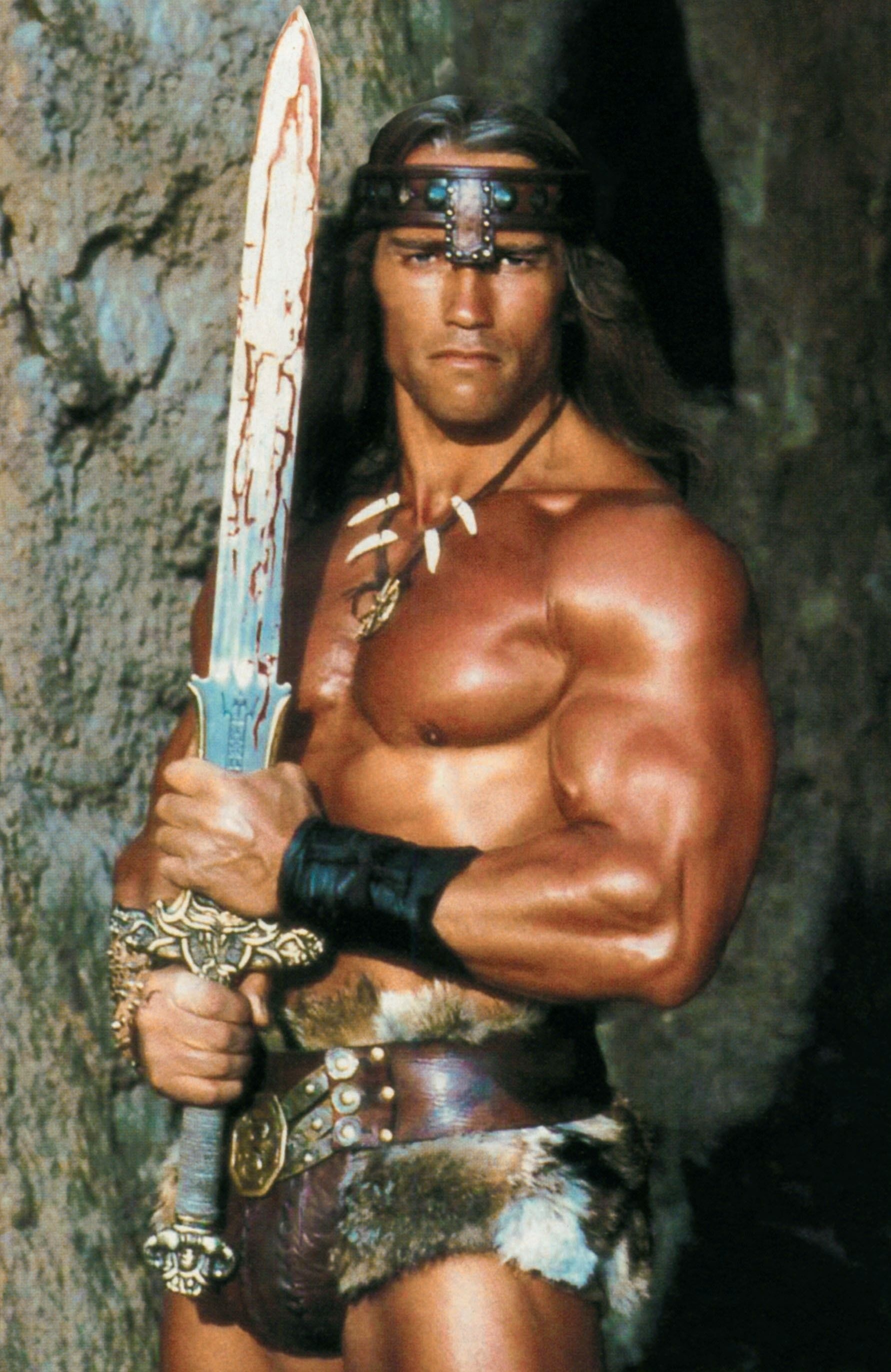 Conan (Arnold Schwarzenegger): The Barbarian, Created by Robert E. Howard, Sword and sorcery. 1790x2750 HD Wallpaper.