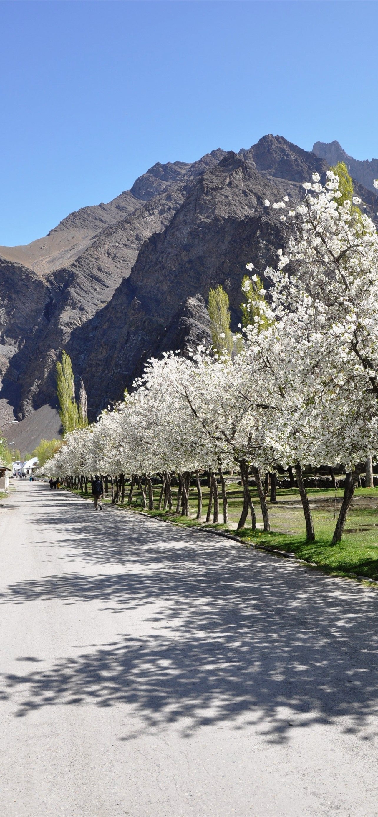 Best Tajikistan iPhone wallpapers, Captivating sceneries, Enchanting beauty, Mobile wallpapers, 1290x2780 HD Handy
