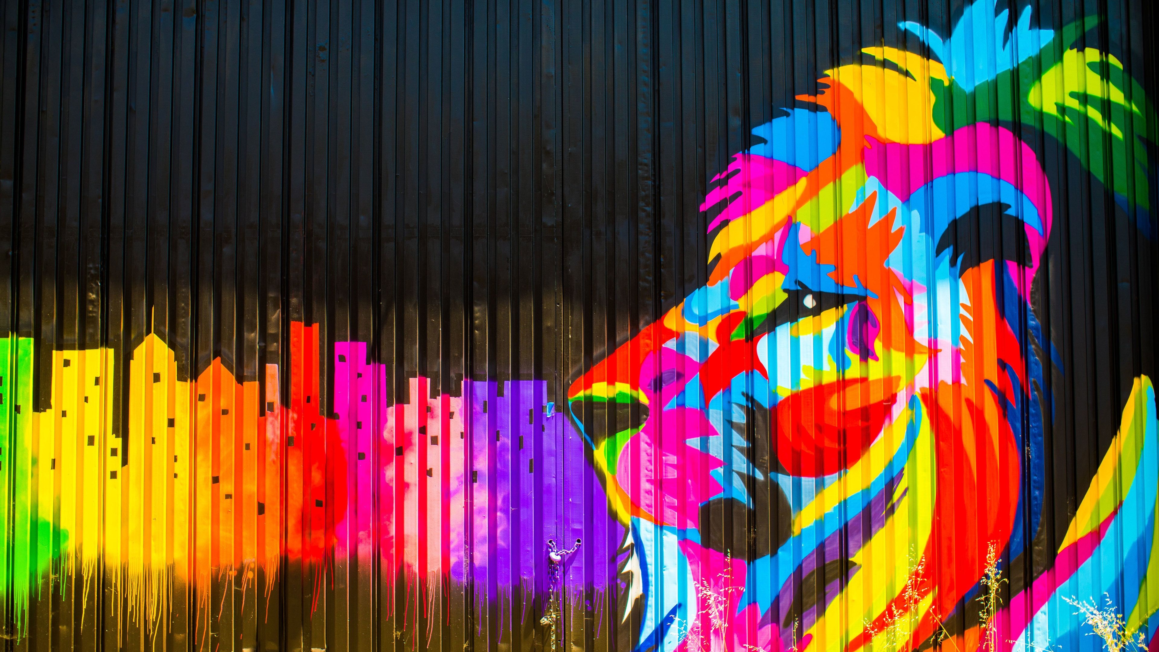 Lion Graffiti, Street Art Wallpaper, 3840x2160 4K Desktop
