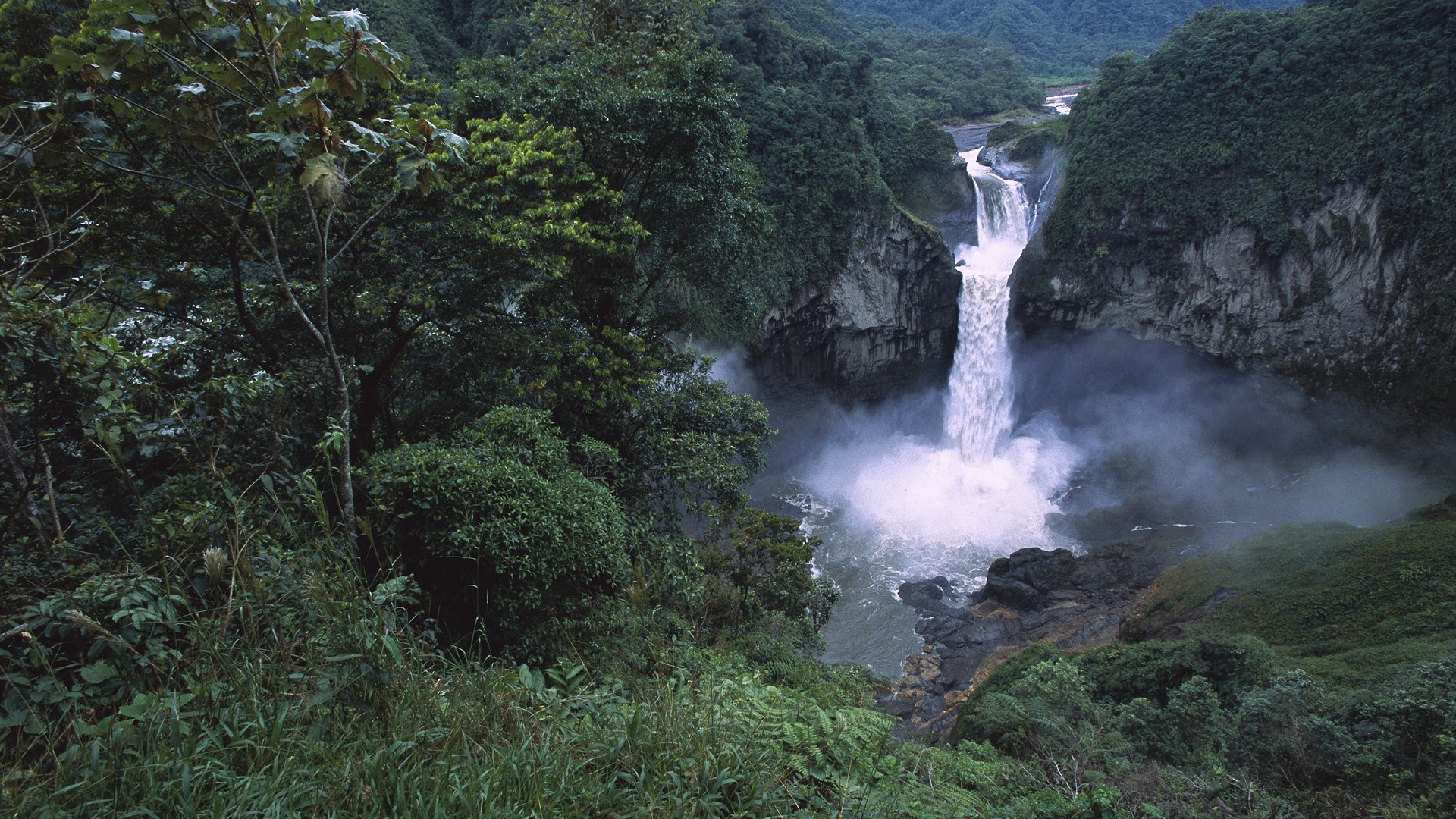 Ecuador: Falls, Amazonian forest, Yasuni. 1920x1080 Full HD Wallpaper.