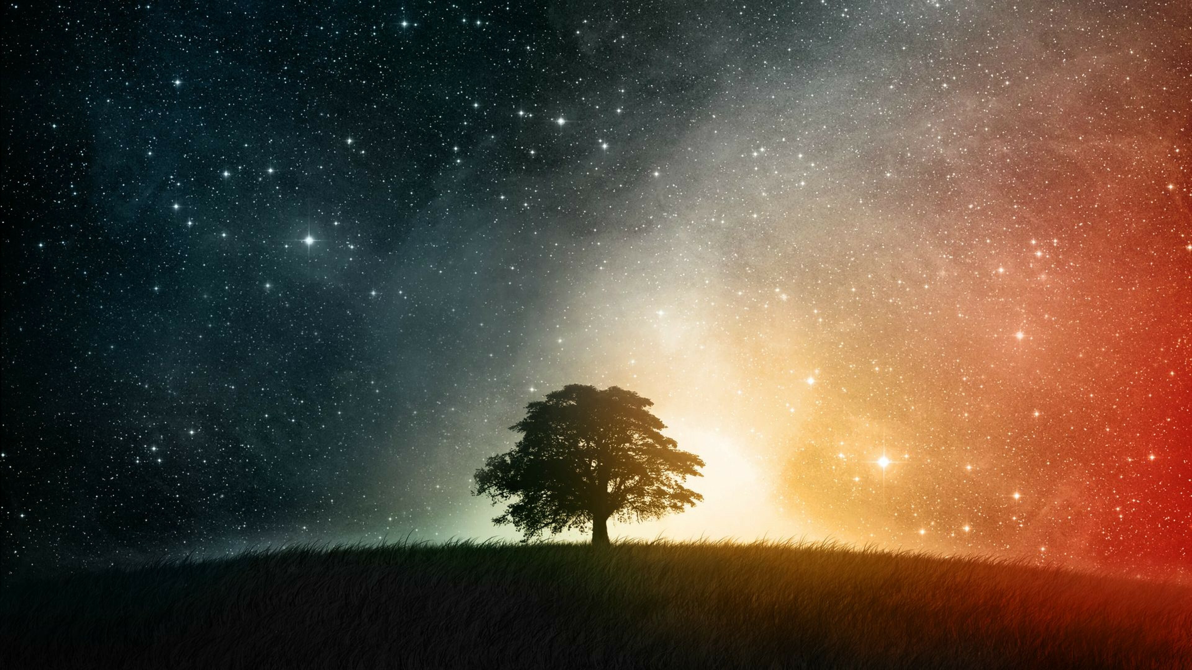 Tree beneath starry skies, Celestial wonder, Majestic beauty, Nature's celestial embrace, 3840x2160 4K Desktop