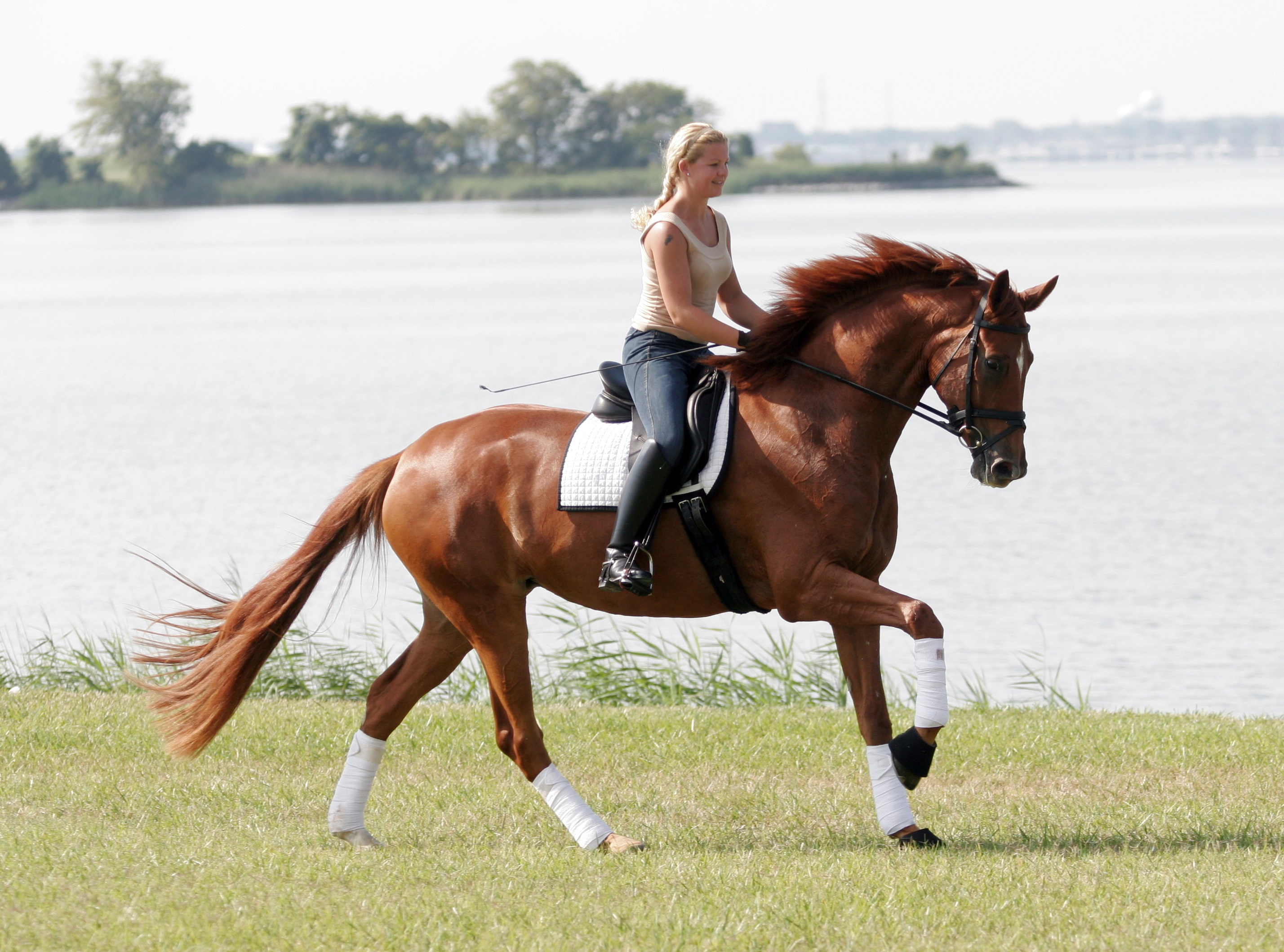 Equitation: Pleasure riding, Trail riding, Hacking, Recreational outdoor activity. 2860x2120 HD Background.