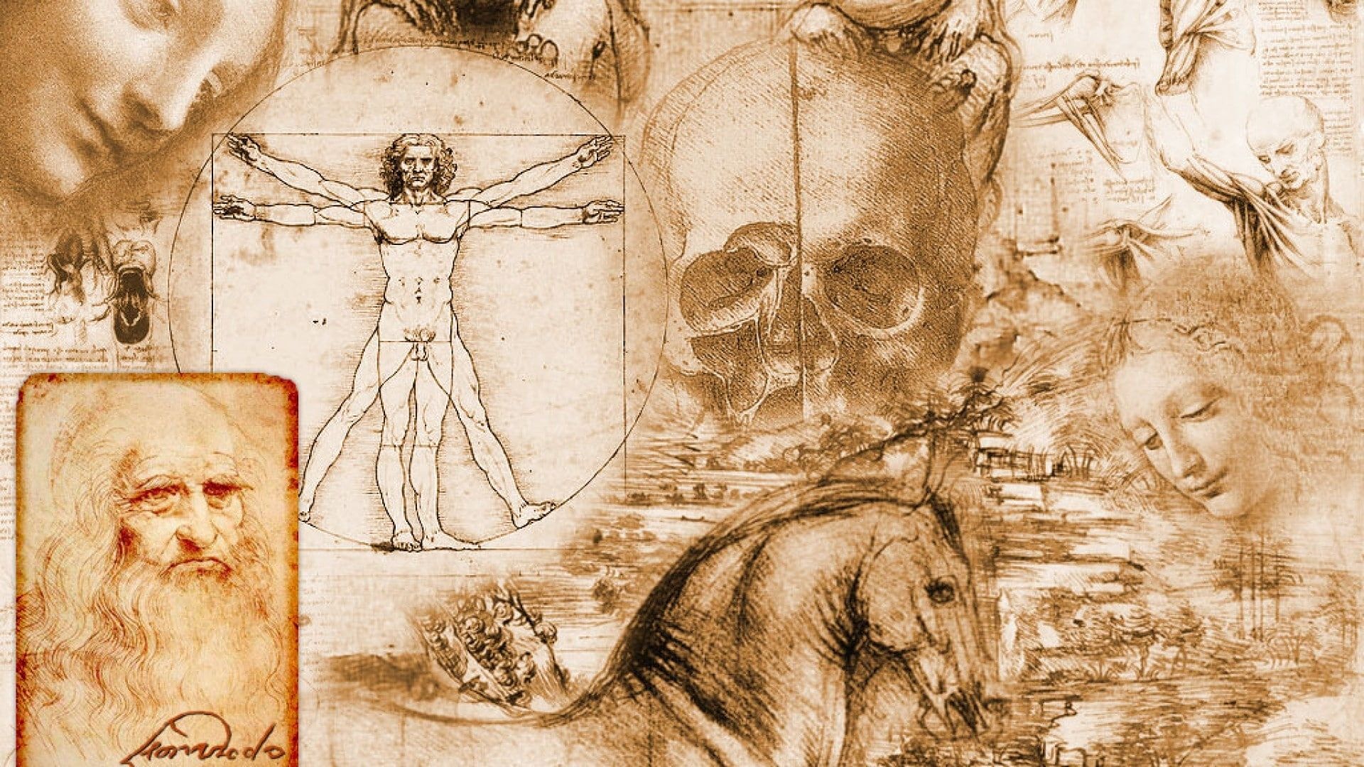 Leonardo da Vinci, Celebs, Vitruvian Man, Artistic masterpiece, 1920x1080 Full HD Desktop