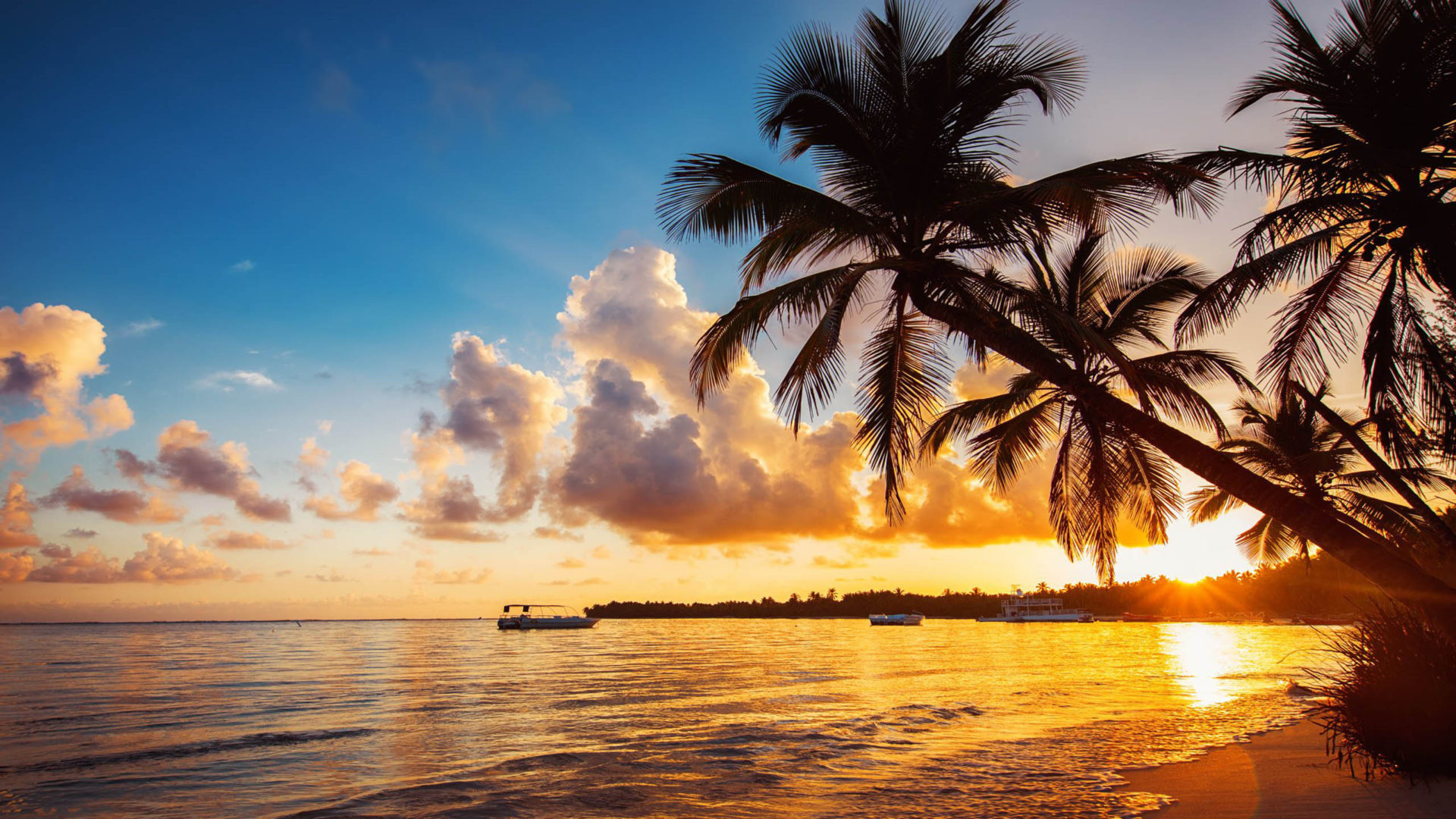 Tropical beach, Punta Cana, Dominican Republic, Palm trees, 1920x1080 Full HD Desktop