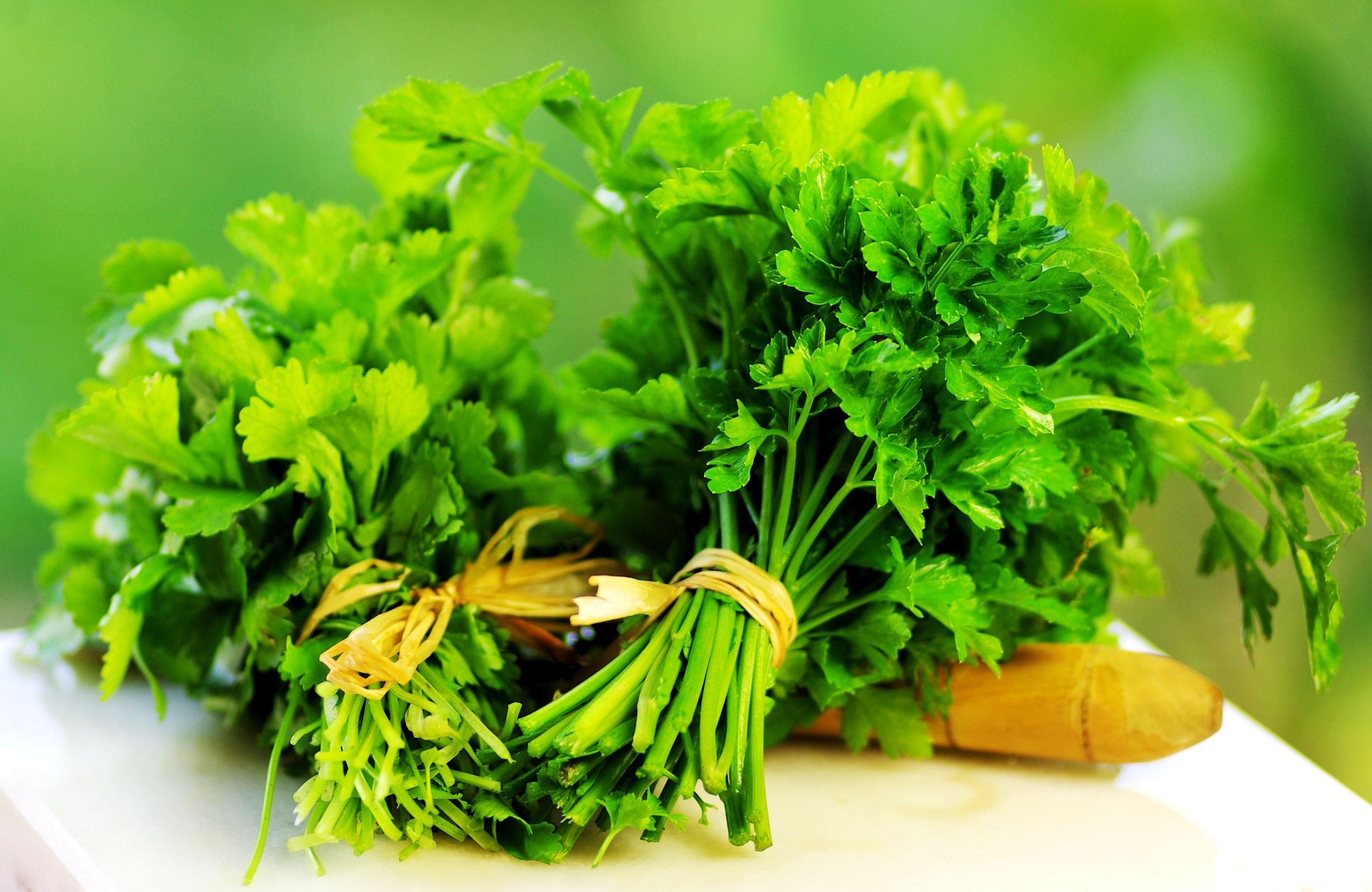 Powerful parsley, Health benefits, Herbal remedy, Nutritional powerhouse, 2540x1660 HD Desktop