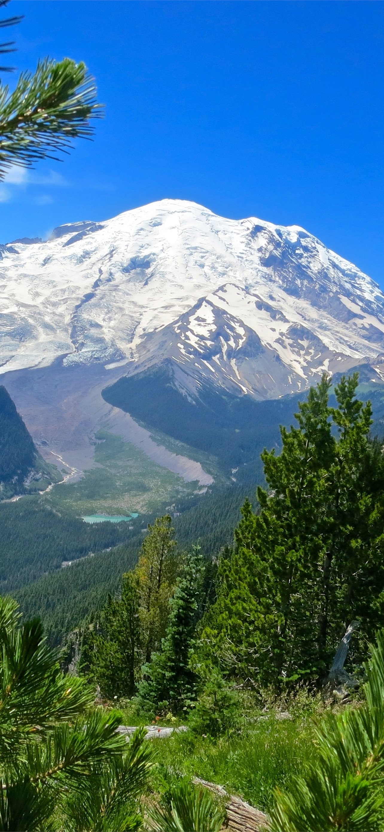 Mount Rainier National Park, iPhone wallpapers, Free download, Nature's beauty, 1290x2780 HD Handy