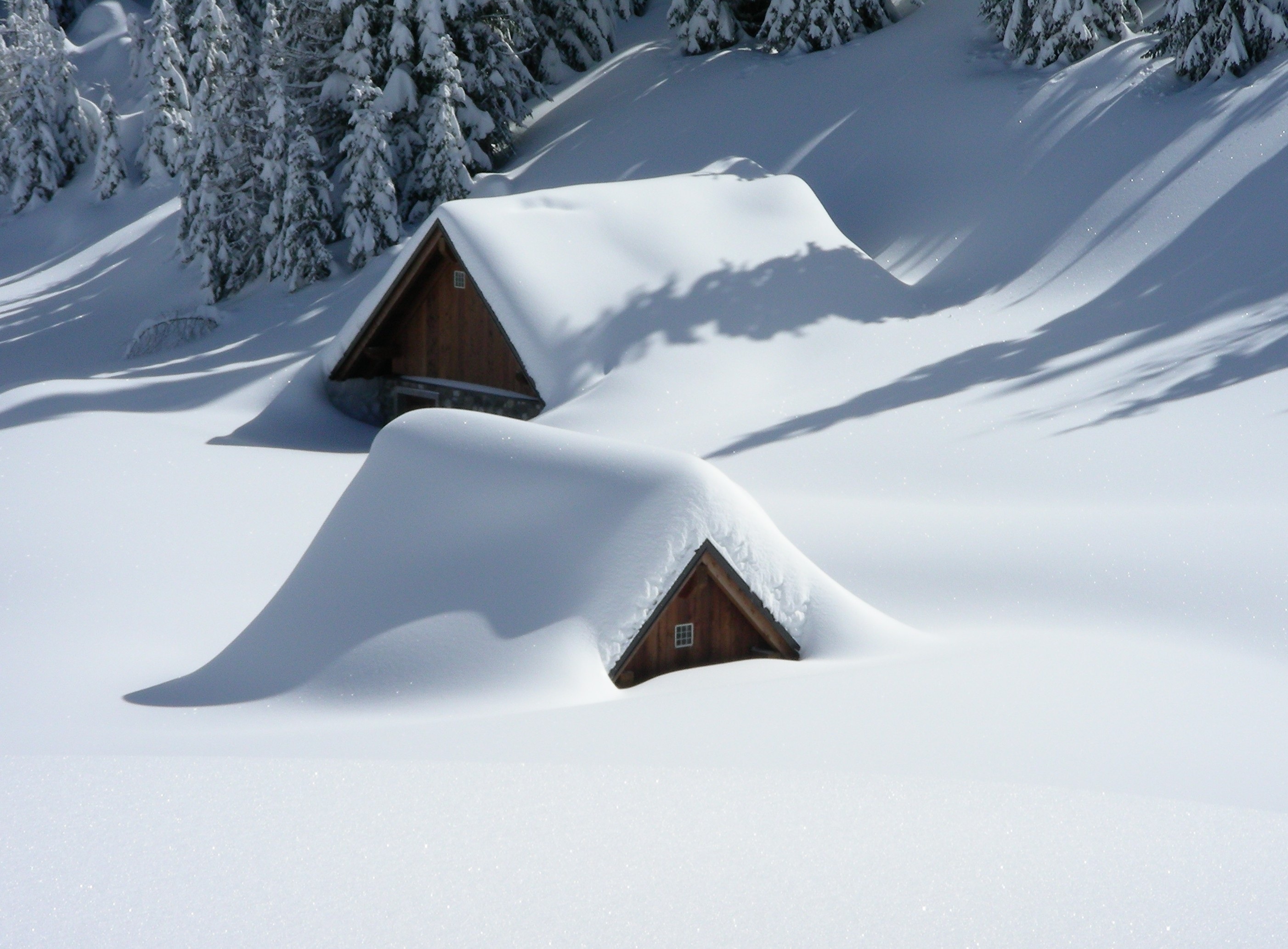 40, 000+ Best Snow Photos 100% Free Download Pexels Stock Photos 2810x2070