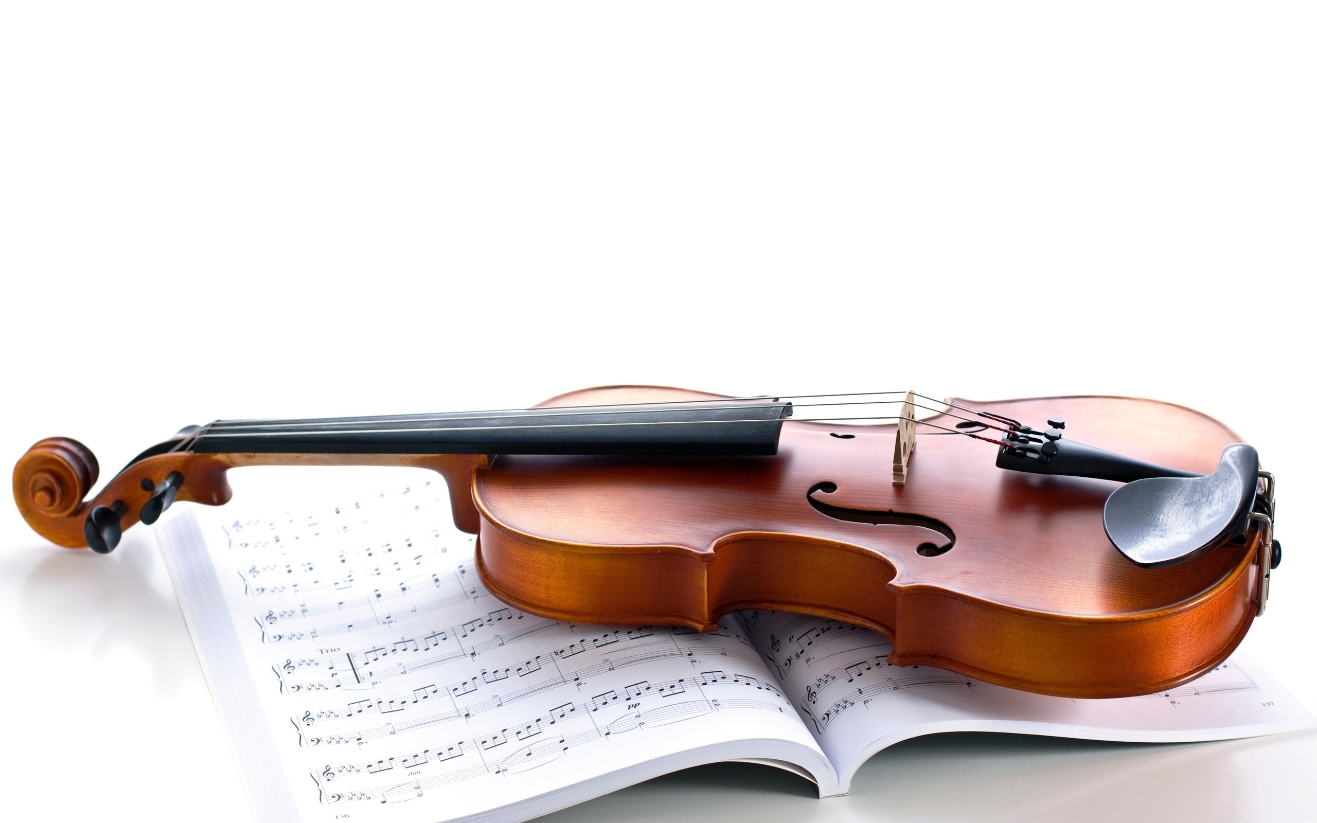 Violin: Classical Music, String Instrument, Fine Carved Wooden Plates, Notes. 2560x1600 HD Background.
