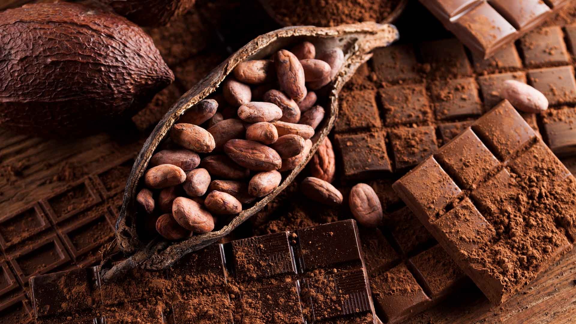 Origin of cocoa, Vulcanotec 2022, Cocoa's journey, Discover cocoa's roots, 1920x1080 Full HD Desktop