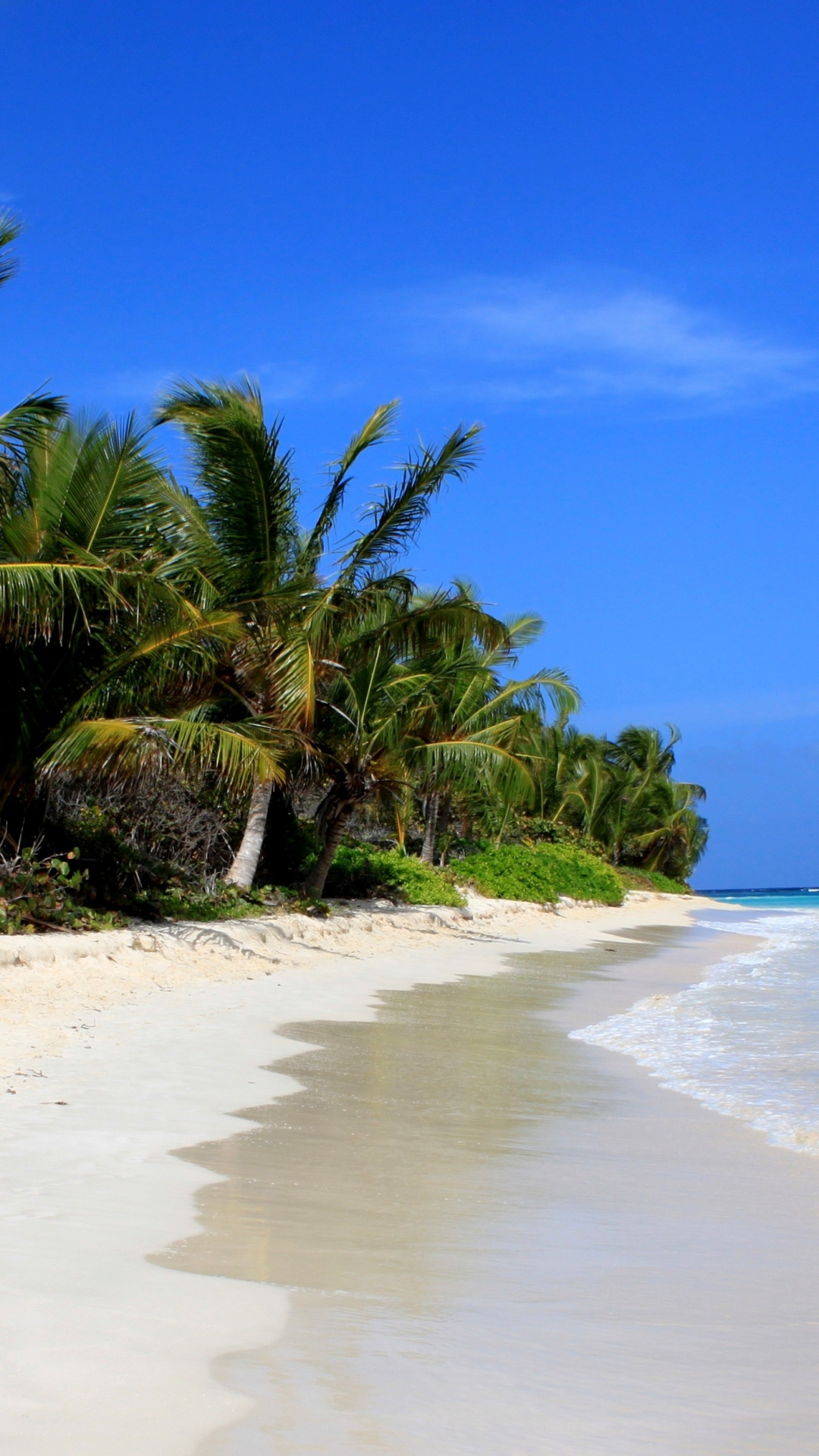 Puerto Rico beaches, Tropical paradise escape, Stunning coastal beauty, Caribbean getaway, 1080x1920 Full HD Phone