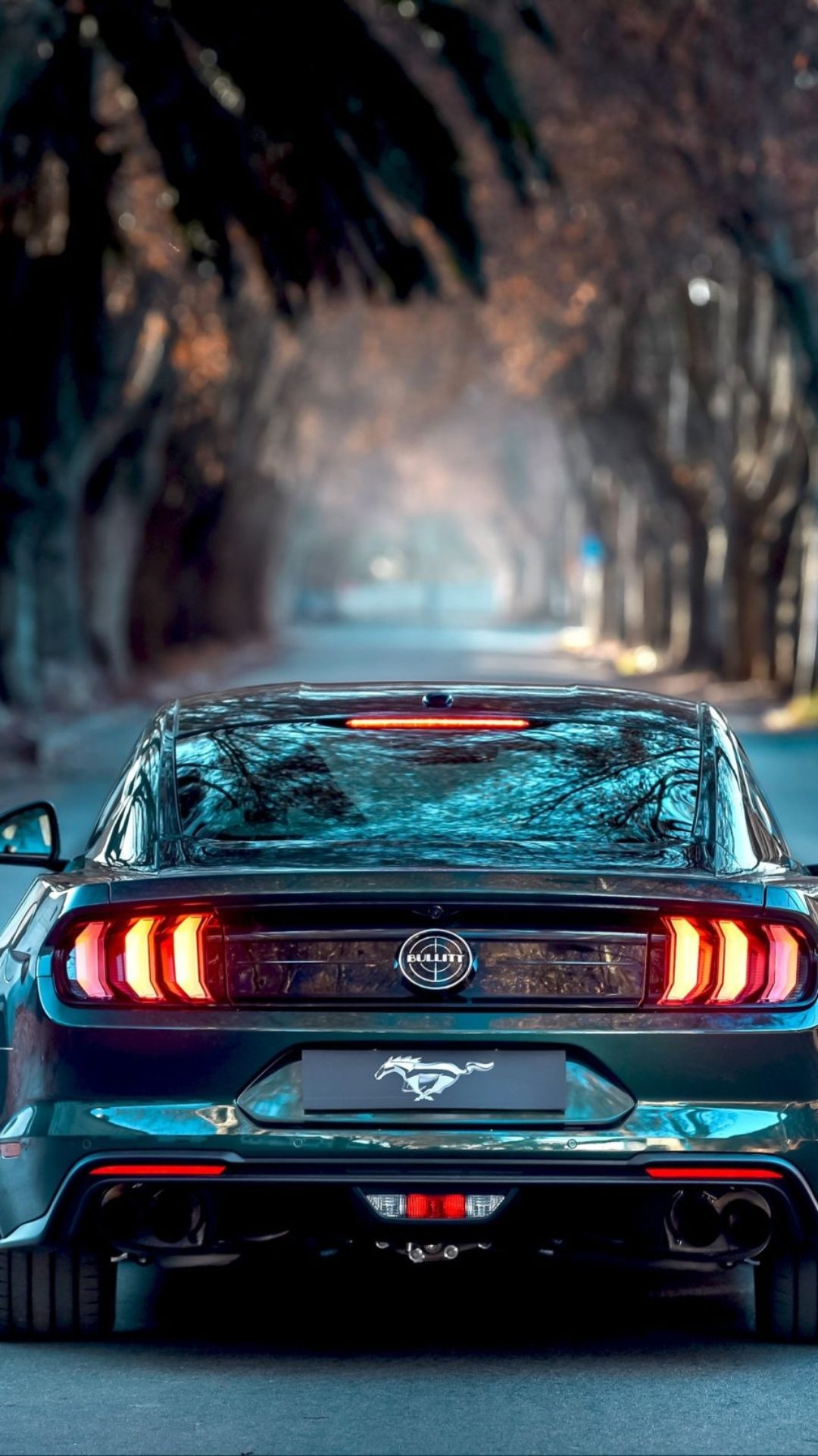 Mustang array, Power and beauty, Muscle car variety, High-quality captures, Road dominance, 1080x1920 Full HD Phone