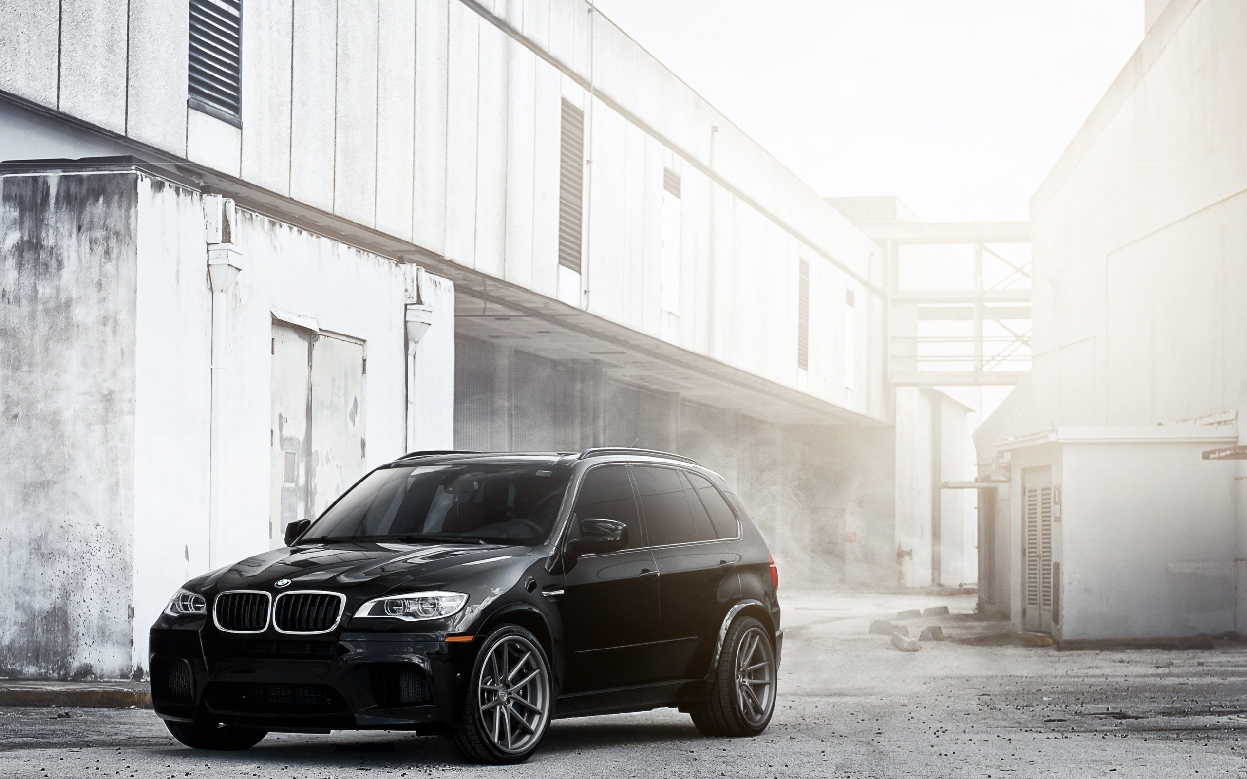 BMW X5 2014 Black, Retro car image, Timeless beauty, Sophisticated elegance, 2560x1600 HD Desktop