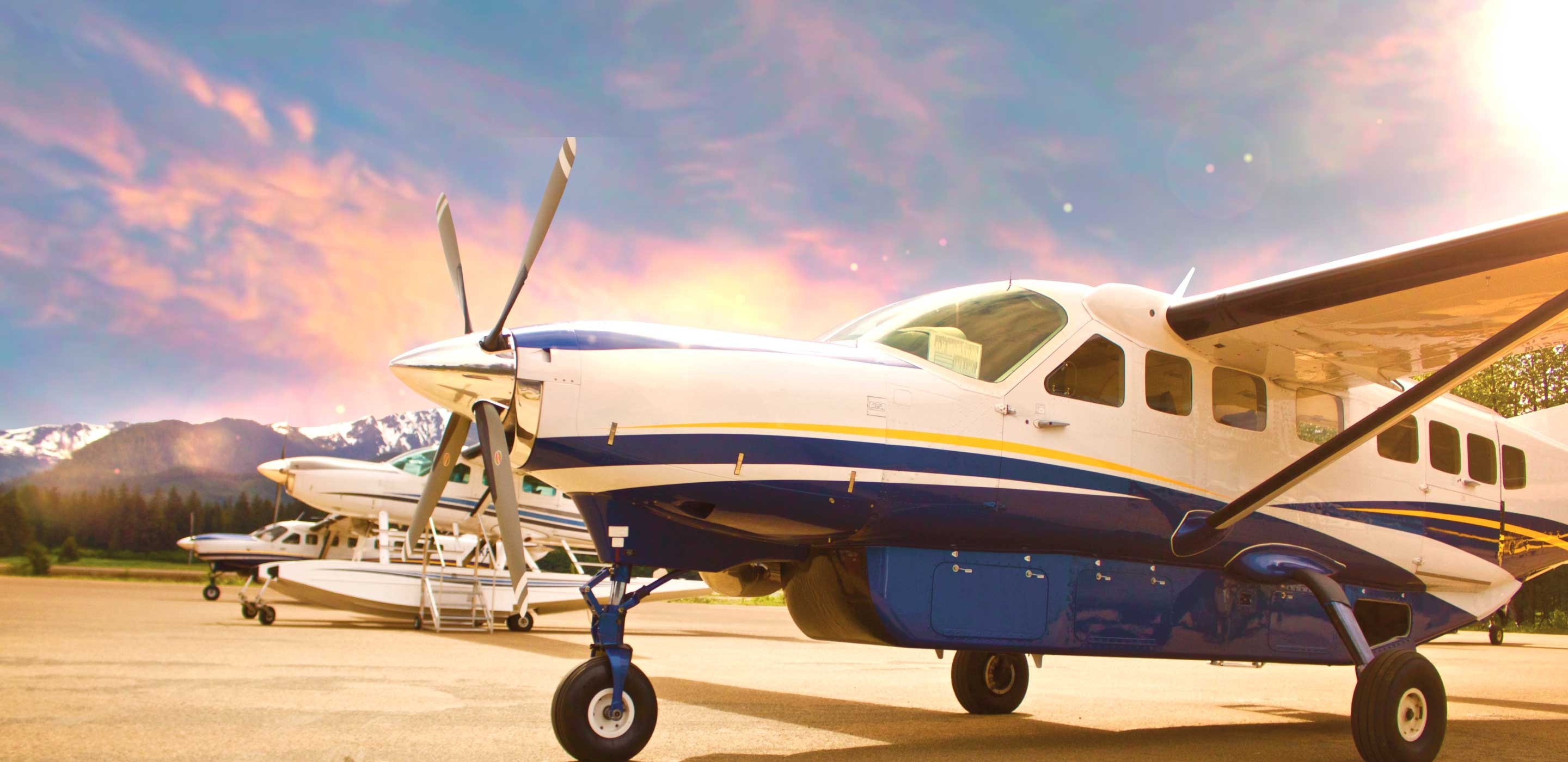 BendixKing Cessna Caravan 2880x1400