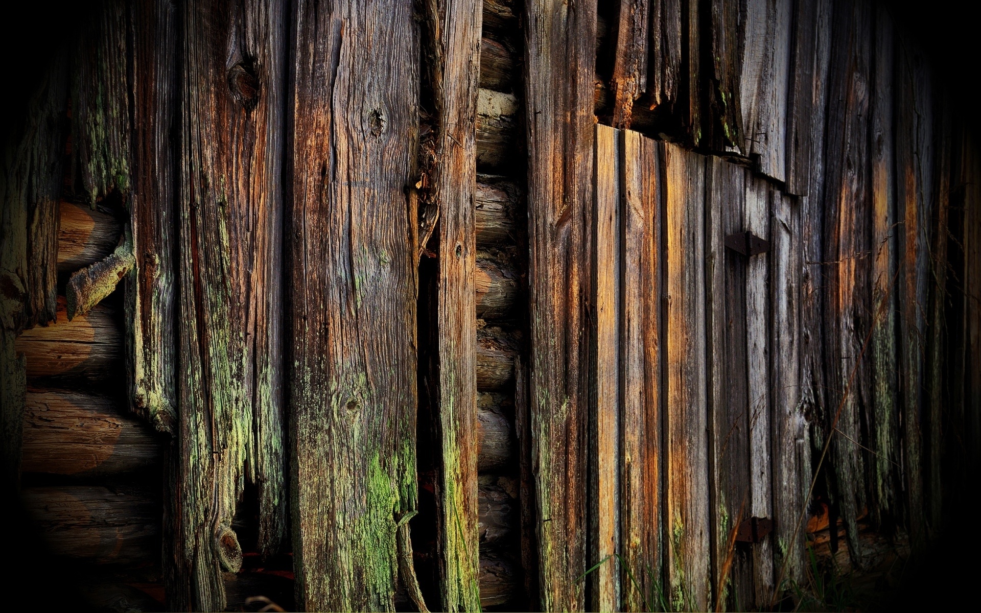 Rustic wall, Decaying texture, Abstract art, Weathered wood, 1920x1200 HD Desktop