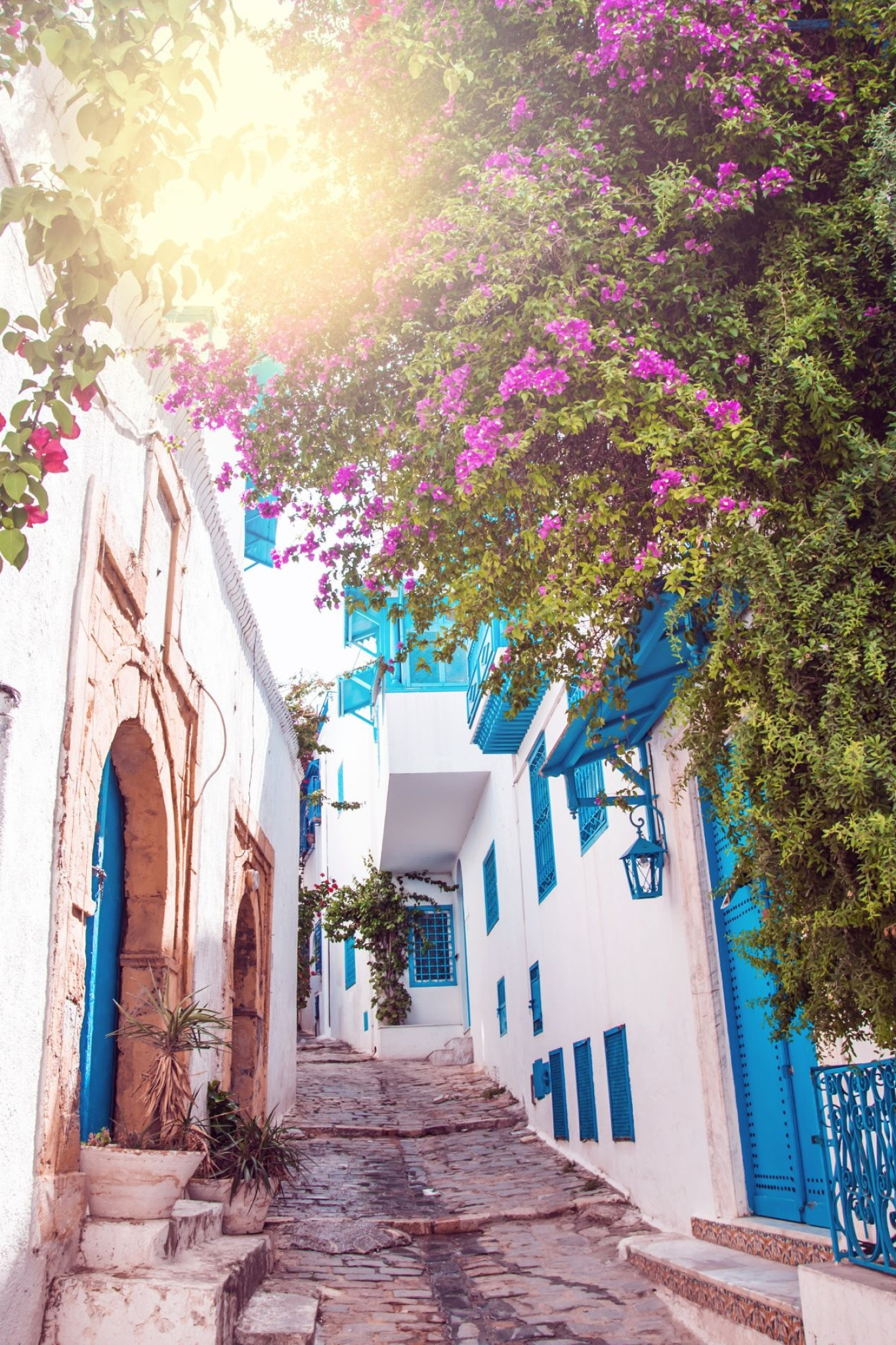 Tunisia, Travel ideas, Tunisian charm, Sidi Bou Said beauty, 1370x2050 HD Handy