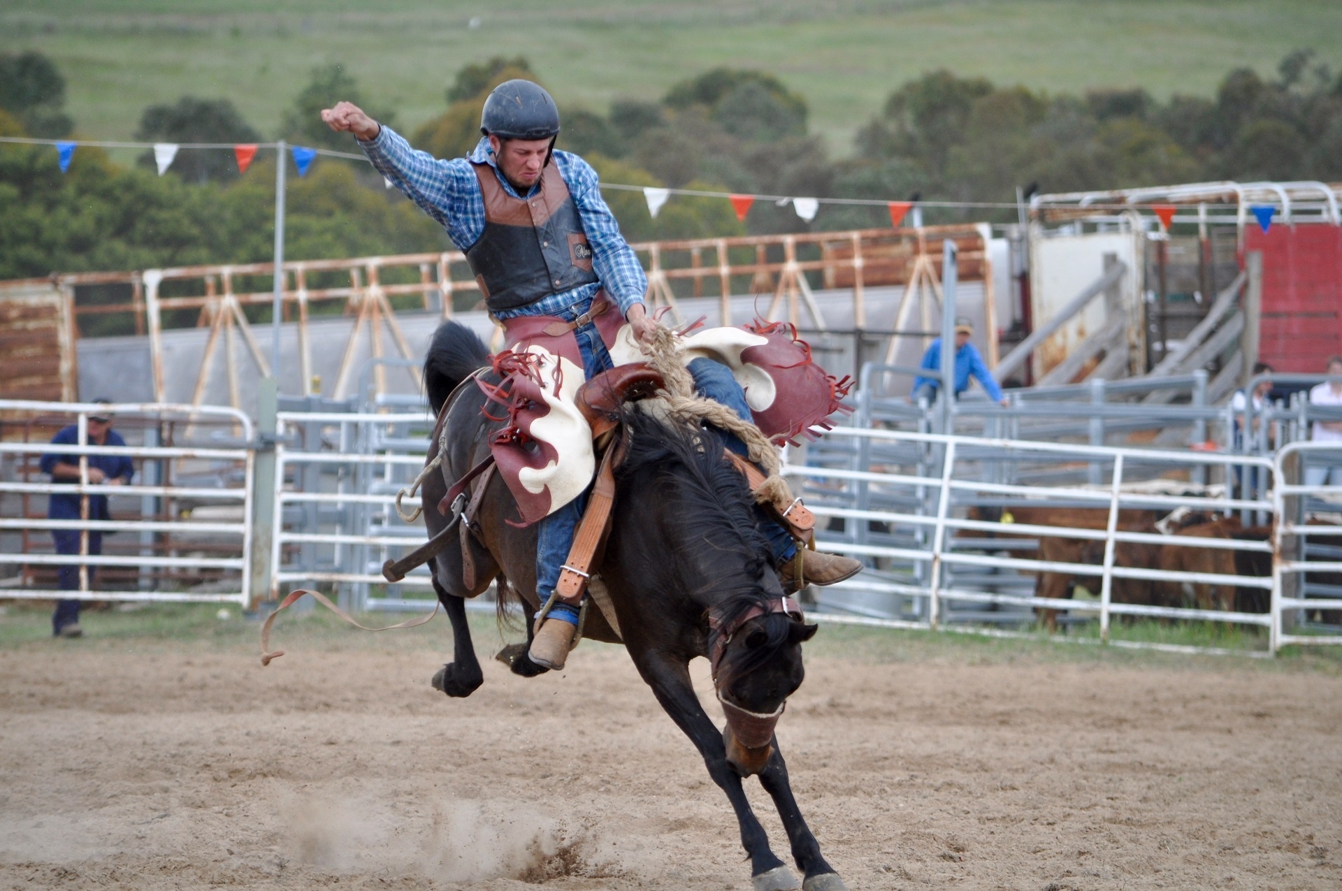Rodeo: PRCA rules, Rodeo animals, Bucking horses. 1920x1280 HD Wallpaper.