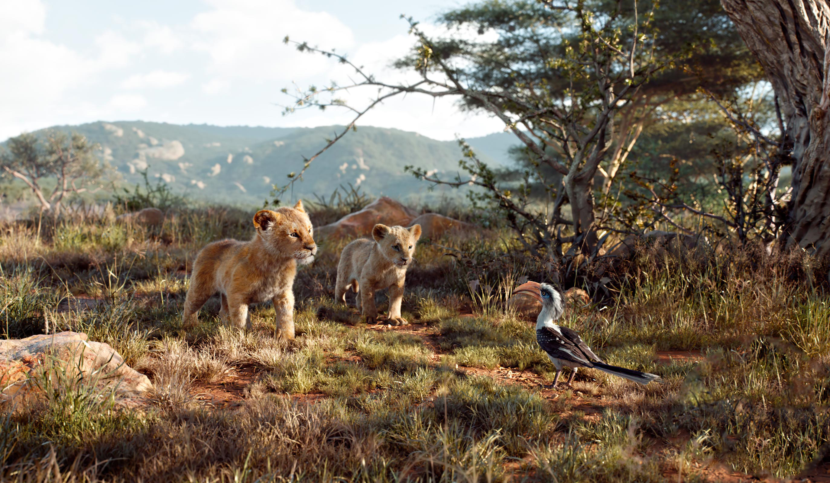 The Lion King (2019), Movie stills, HD wallpapers, 2750x1600 HD Desktop