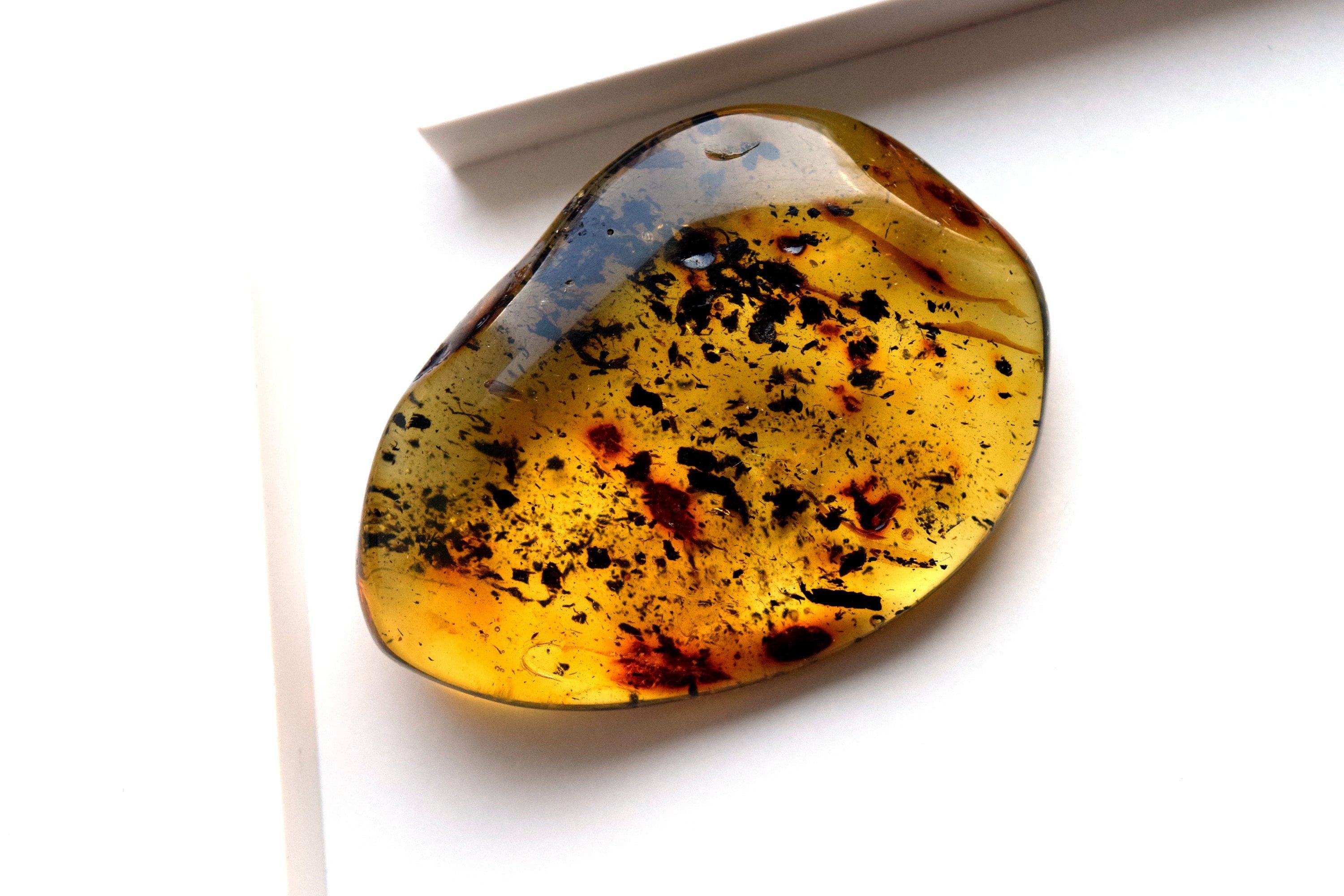 Unique Amber Stonecollector's Piecenatural Baltic Amber - Etsy | Amber stone, Amber gemstone, Reiki stones 3000x2000