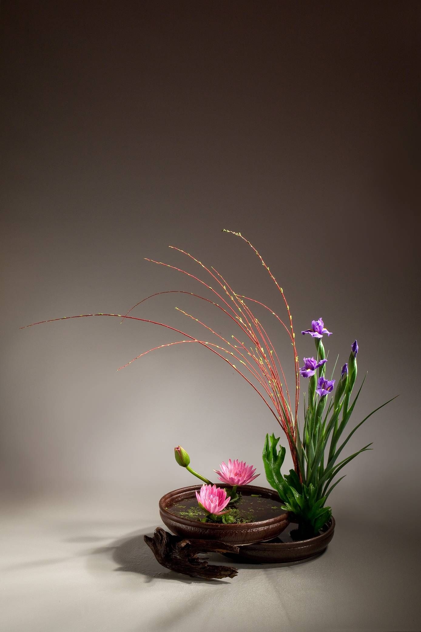 Ikebana, Flower arrangement, Simple, DIY, 1390x2090 HD Phone
