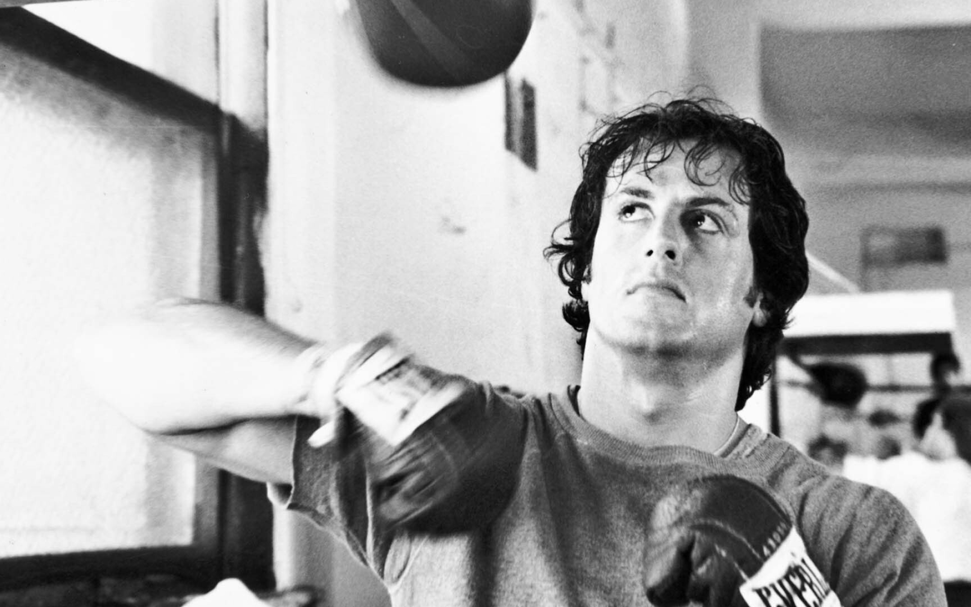 Rocky: The film was theatrically released in the United States by United Artists on June 15, 1979. 1920x1200 HD Wallpaper.