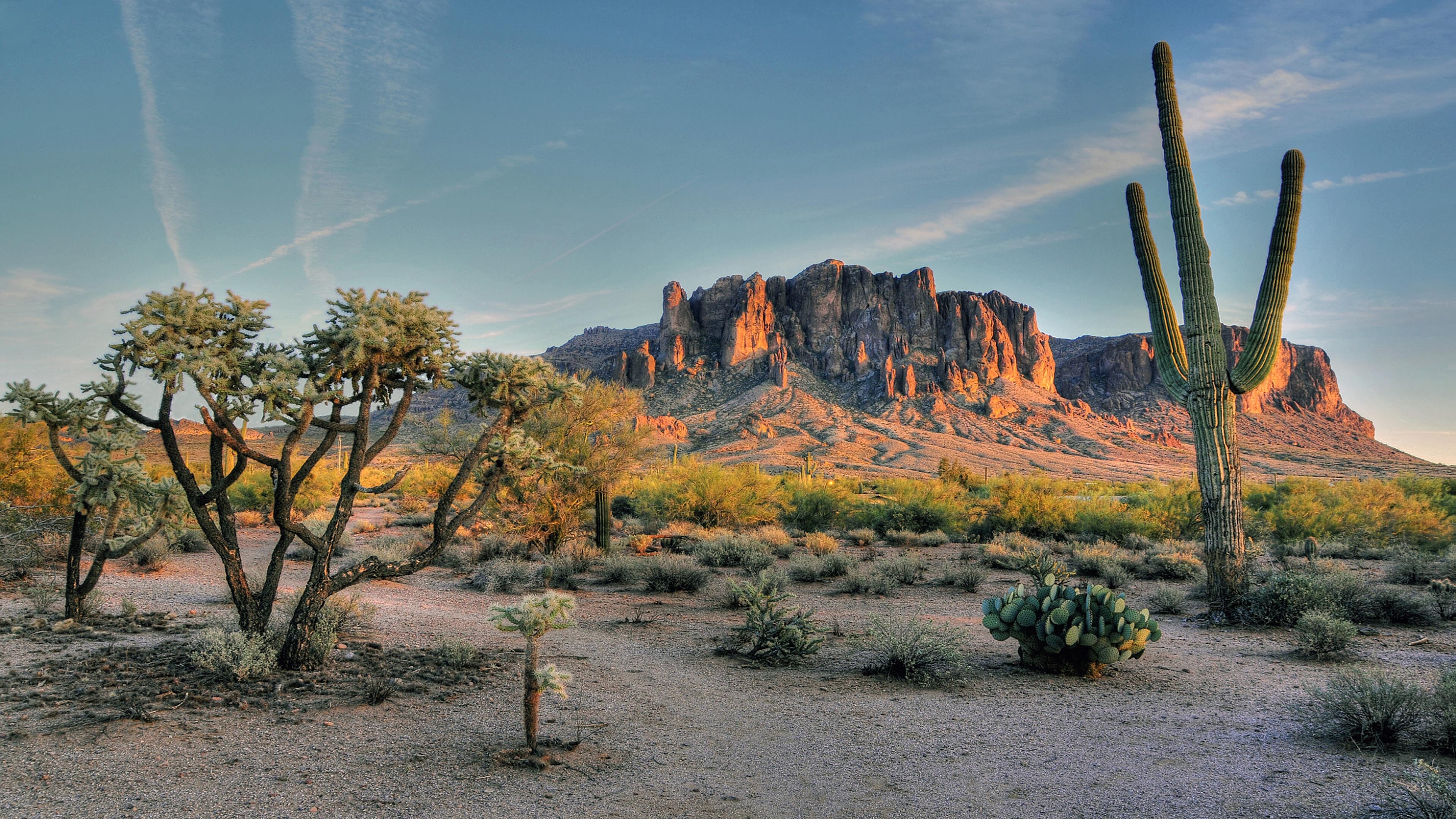 Desert: Superstition Mountains, Mountain Range In Field, Phoenix, Arizona, USA, Landscape. 3840x2160 4K Background.