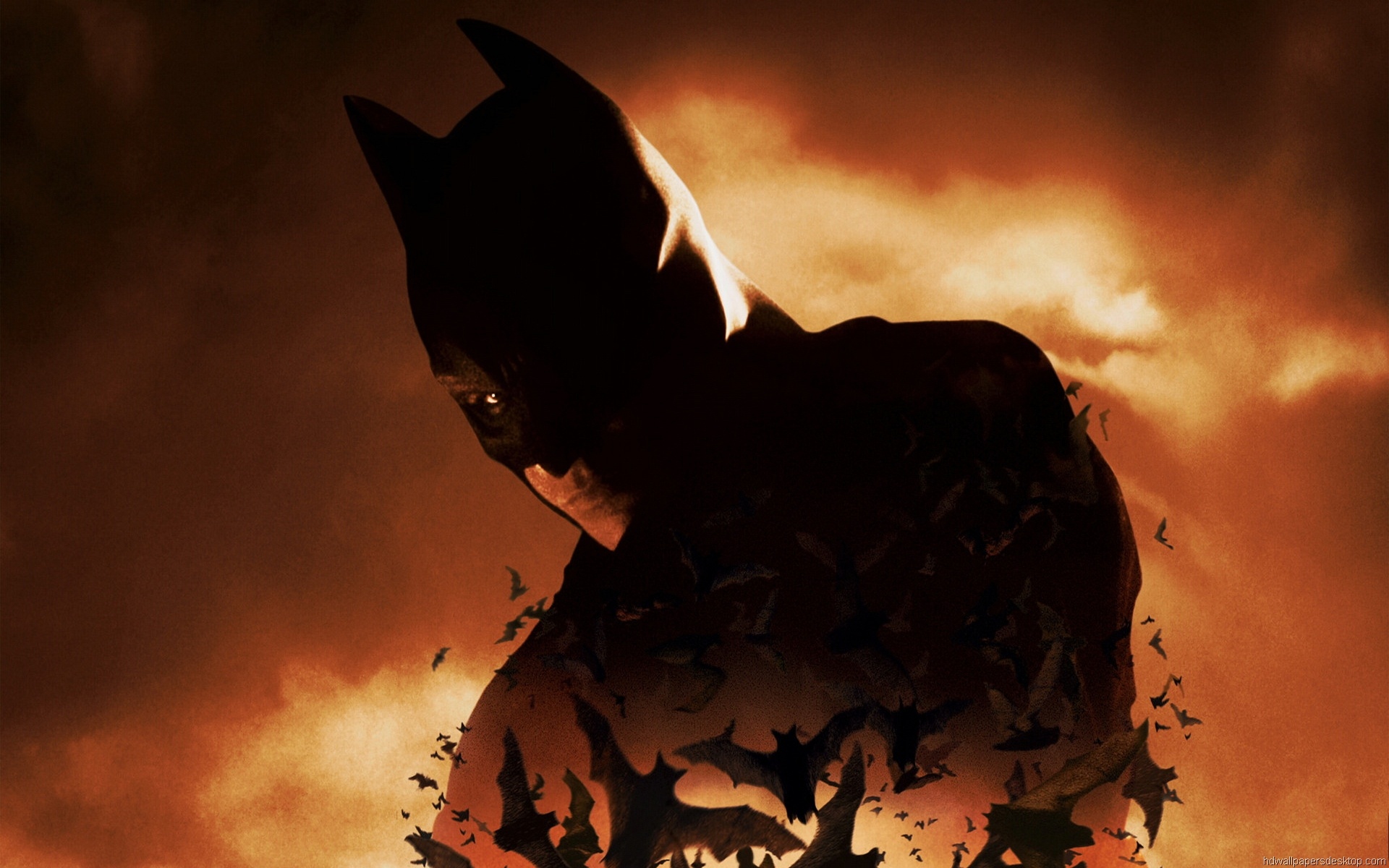Batman Begins, Movie desktop backgrounds, Pictures, Batman logo, 1920x1200 HD Desktop
