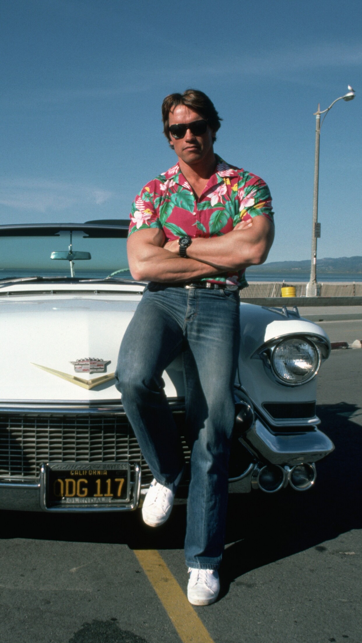 Arnold Schwarzenegger, Timeless beauty, Youthful cars, Iconic man, 1250x2210 HD Phone