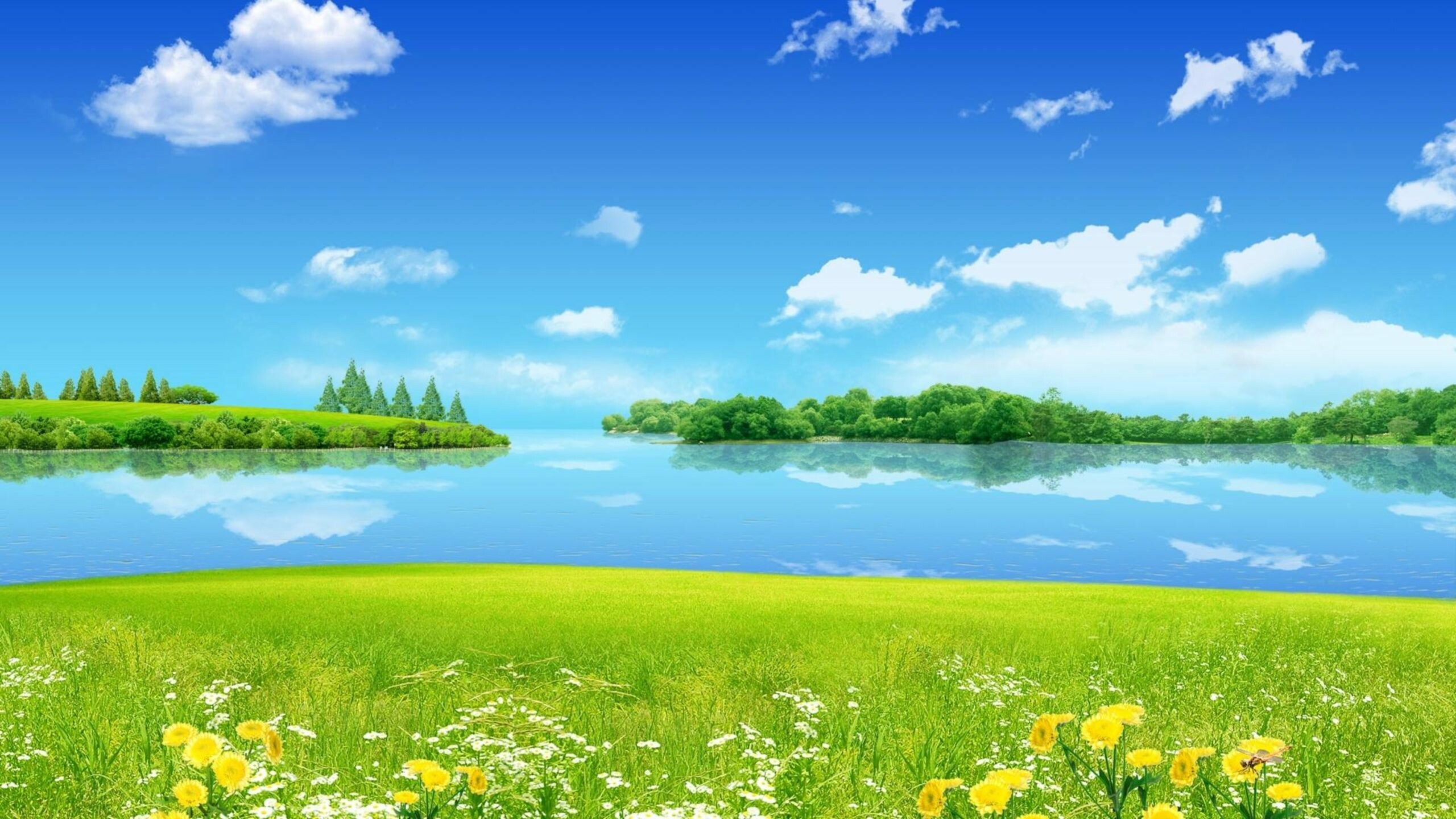 Summer: The hottest of the four temperate seasons, Blooming period. 2560x1440 HD Background.