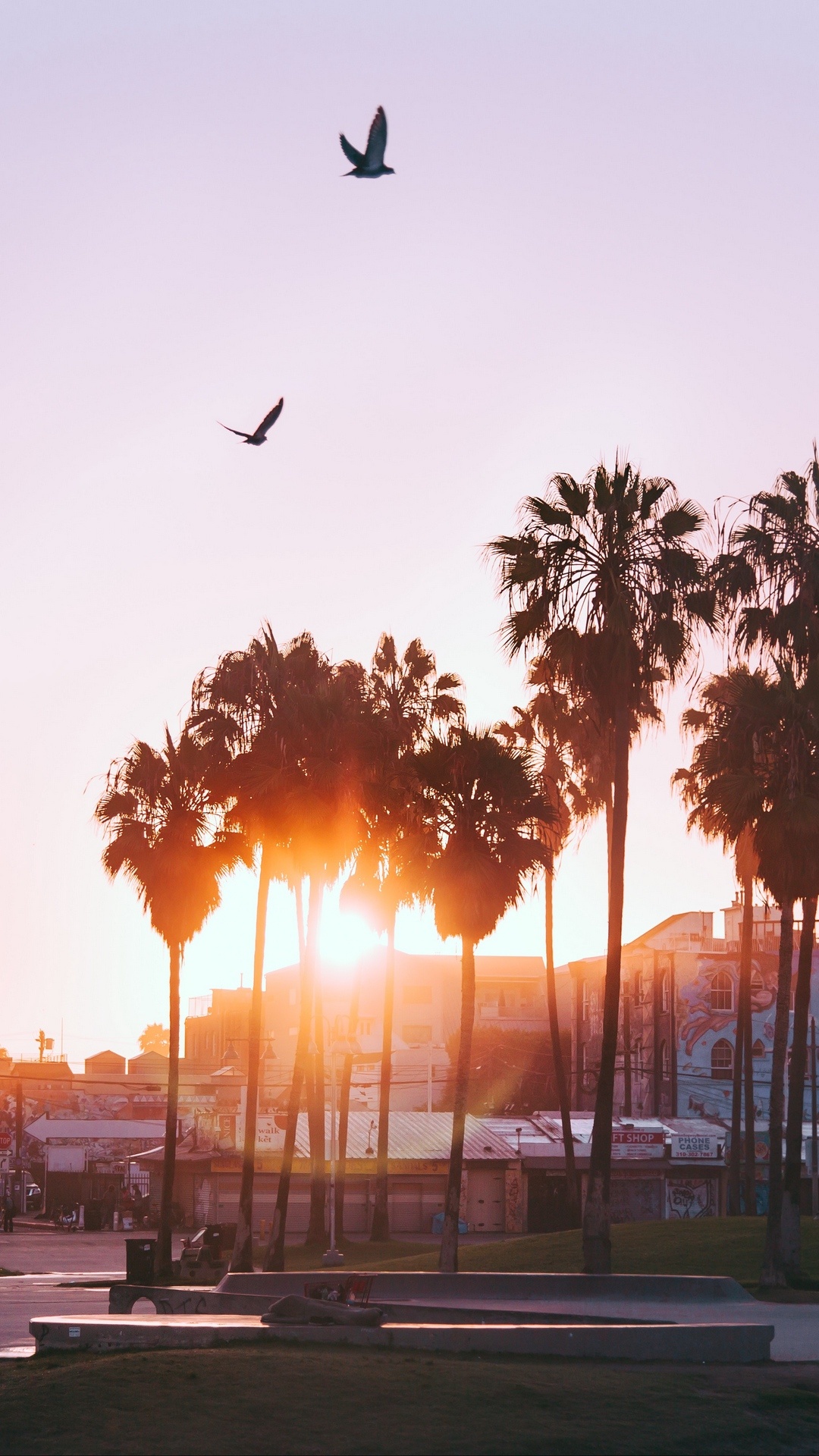 Los Angeles: Venice Beach, LA, California, Sunset. 1080x1920 Full HD Wallpaper.