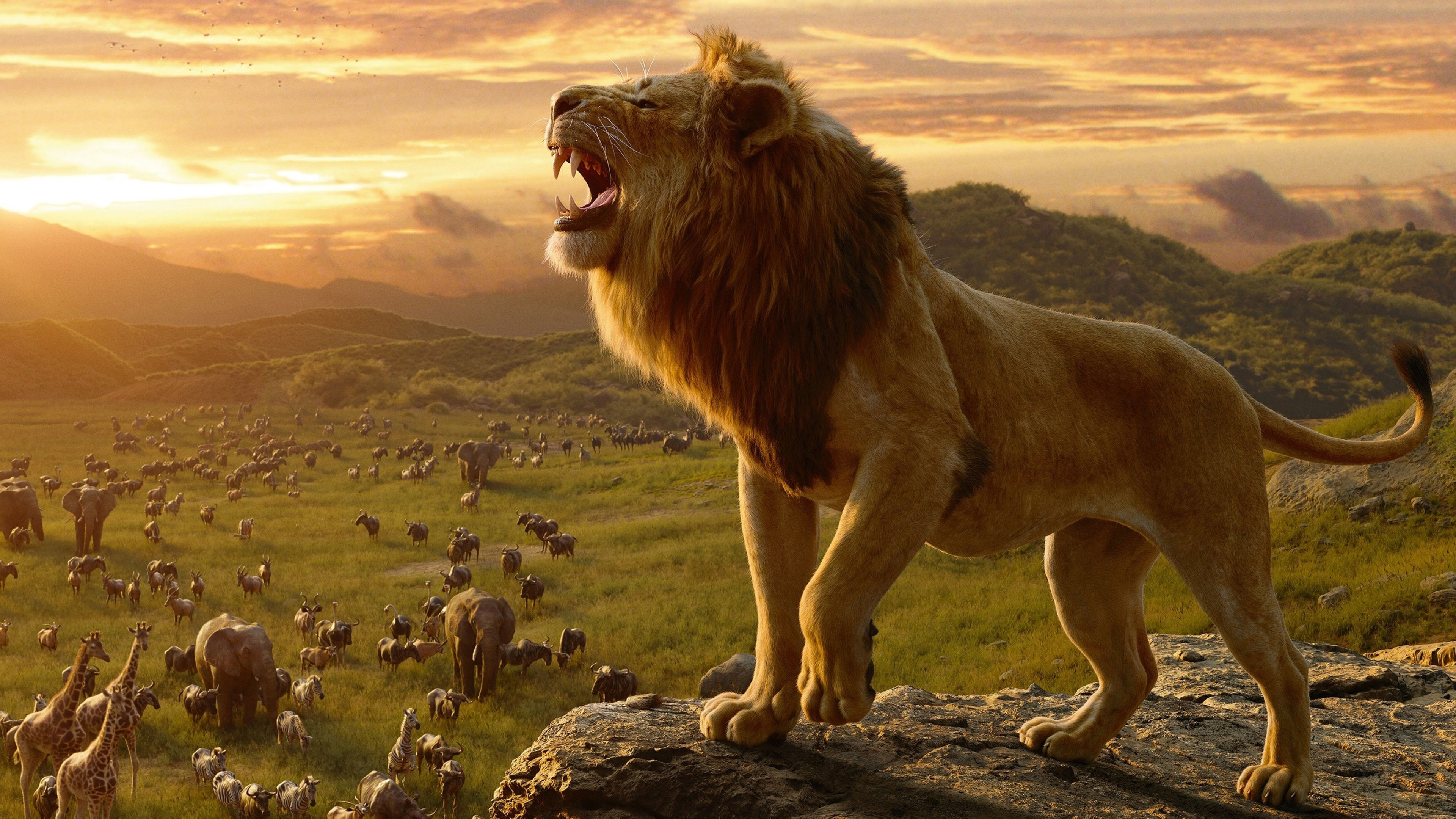 The Lion King, Majestic landscapes, Iconic characters, Timeless story, 3840x2160 4K Desktop